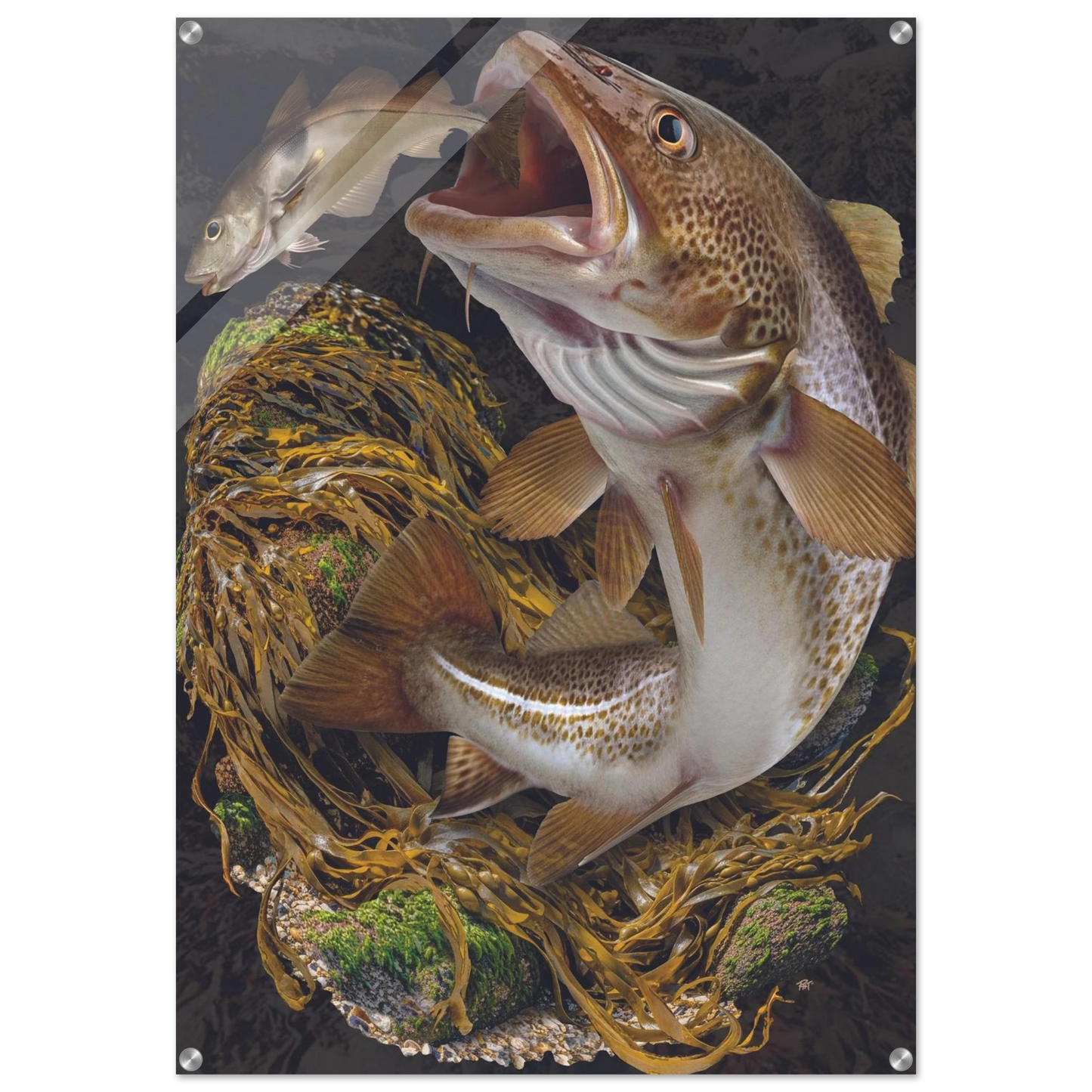 14bce76a-f654-4d7a-a851-4484314236d1