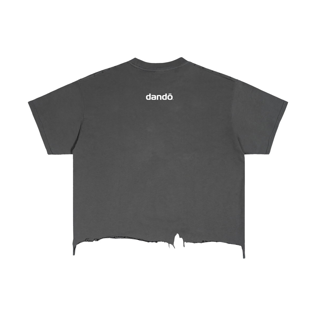 Anti Palace Skate Shirt
