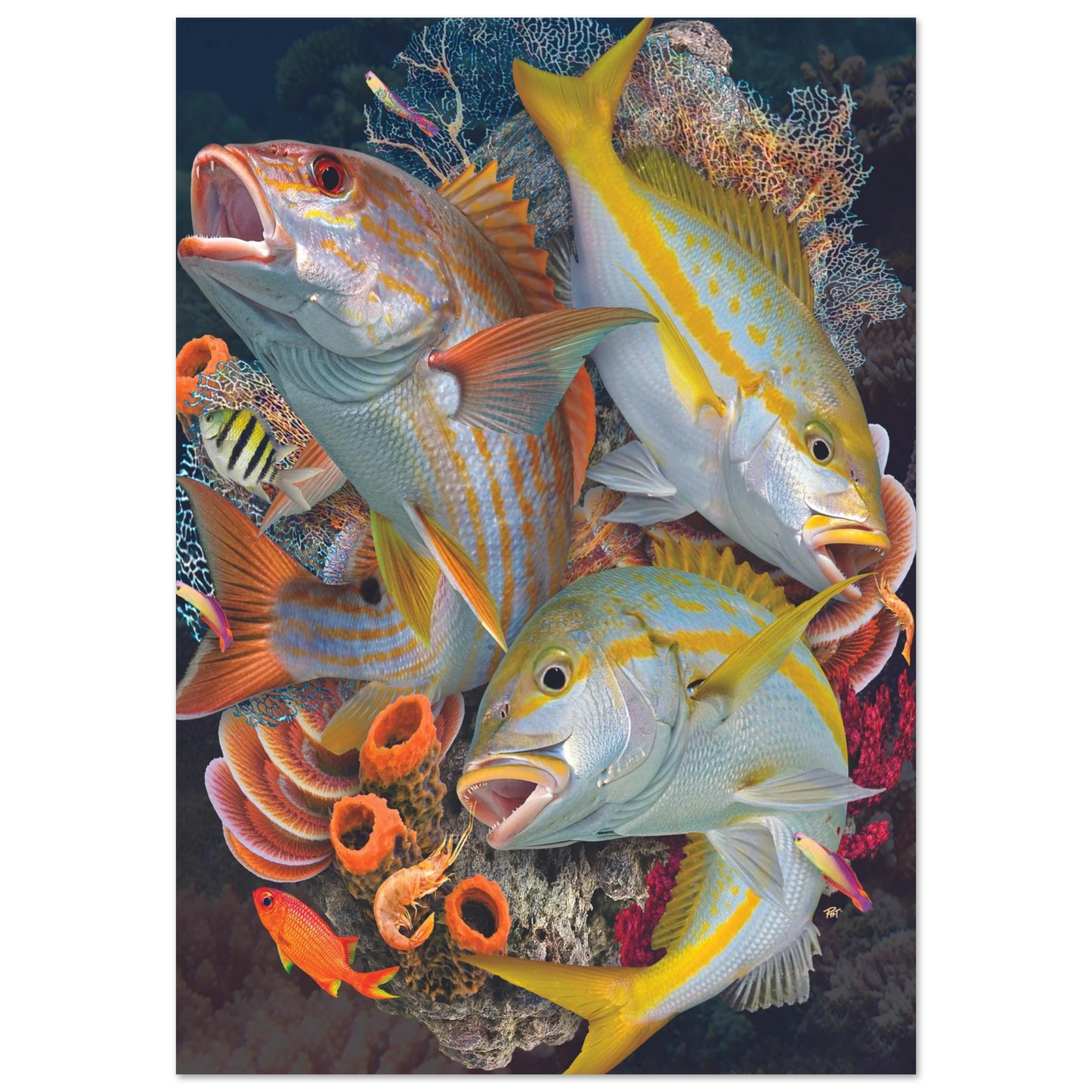 cf207a66-6faa-4c62-bd38-c25e758da10f