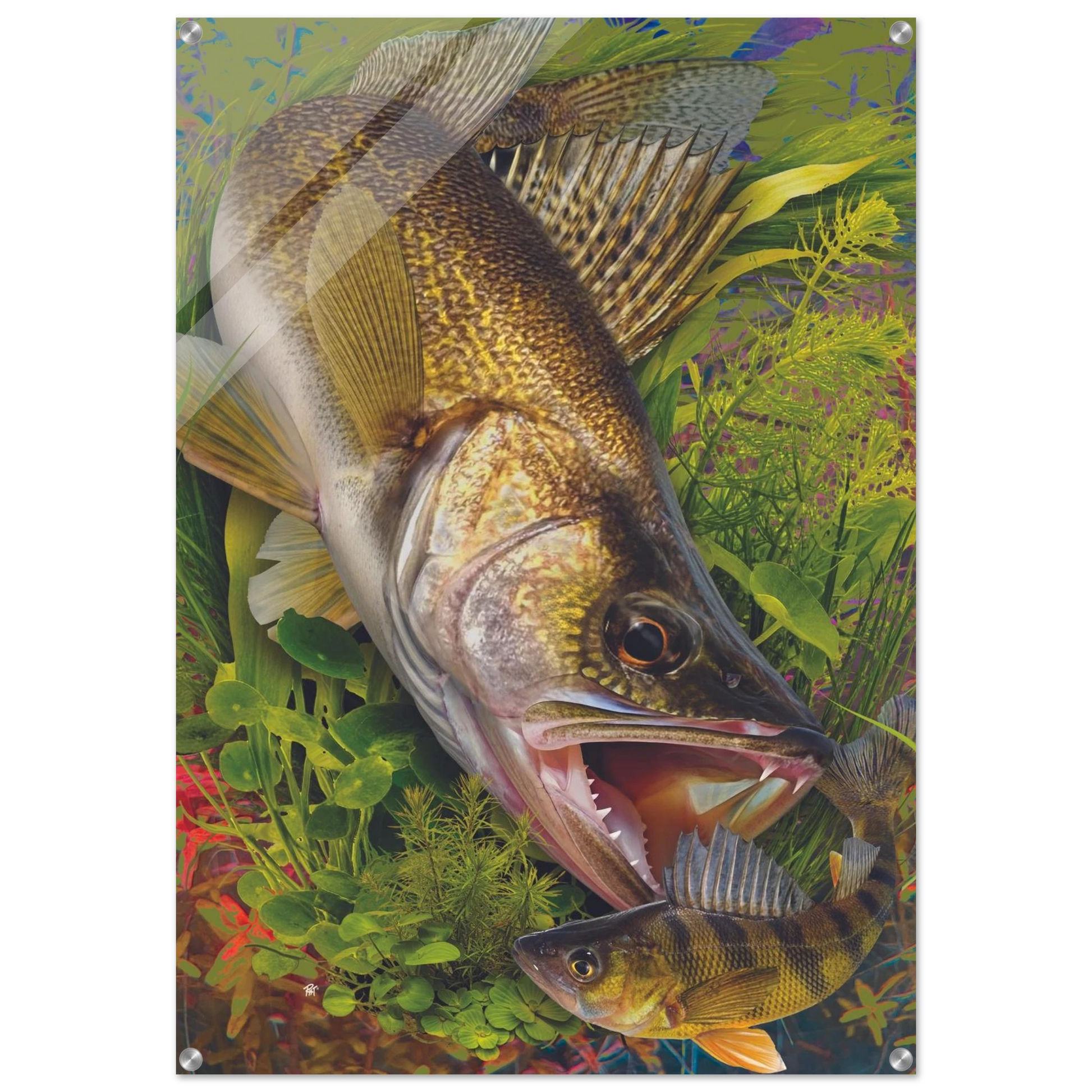 0ba48115-ff0e-460d-bef1-37bf0be1948a