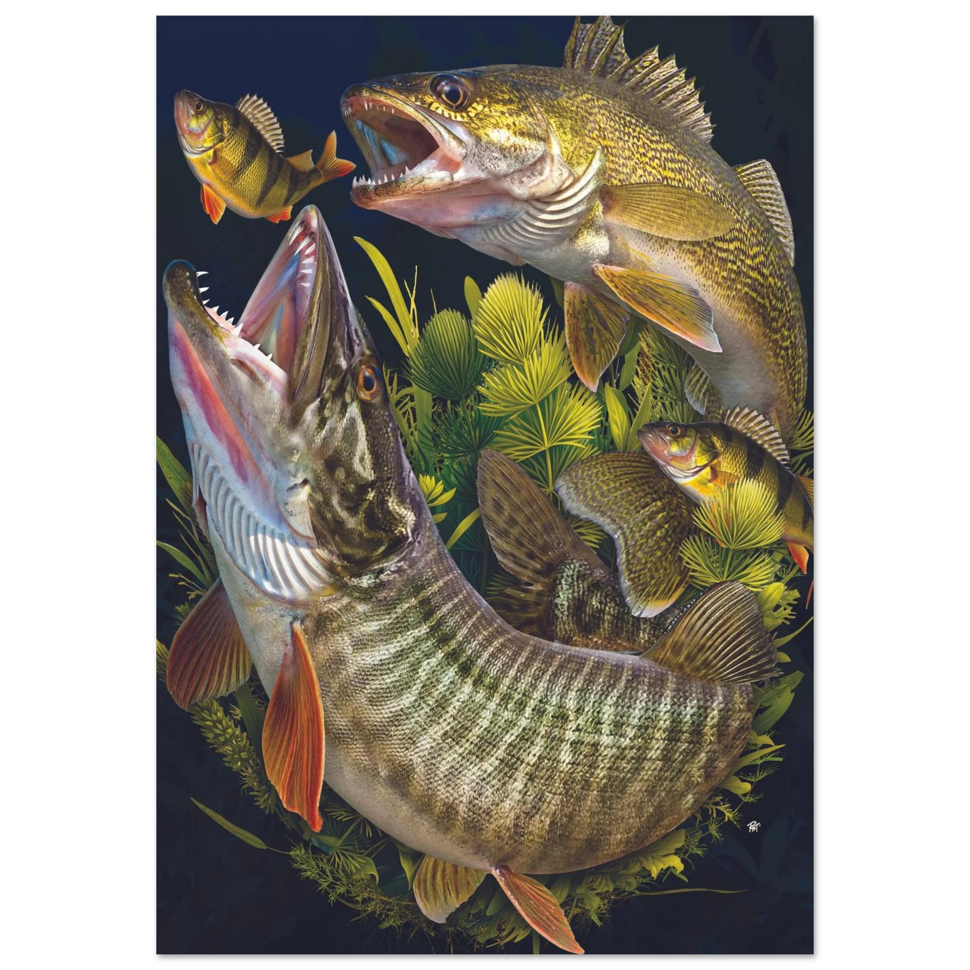 117c44f7-ab6c-4003-a0d9-7b8b0c8c630e