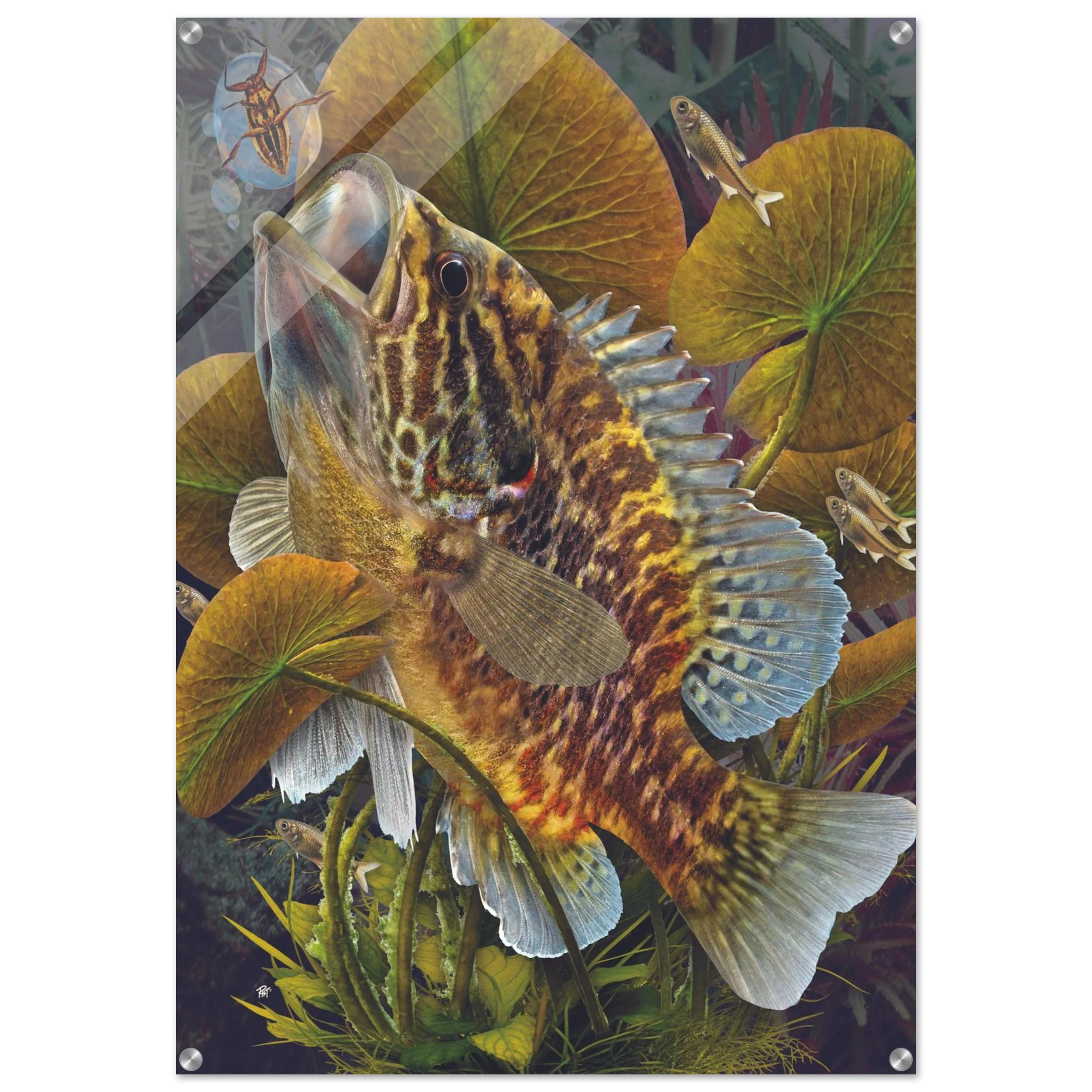 11aa151f-ab2e-4b8d-8fc5-2eb1f241c308