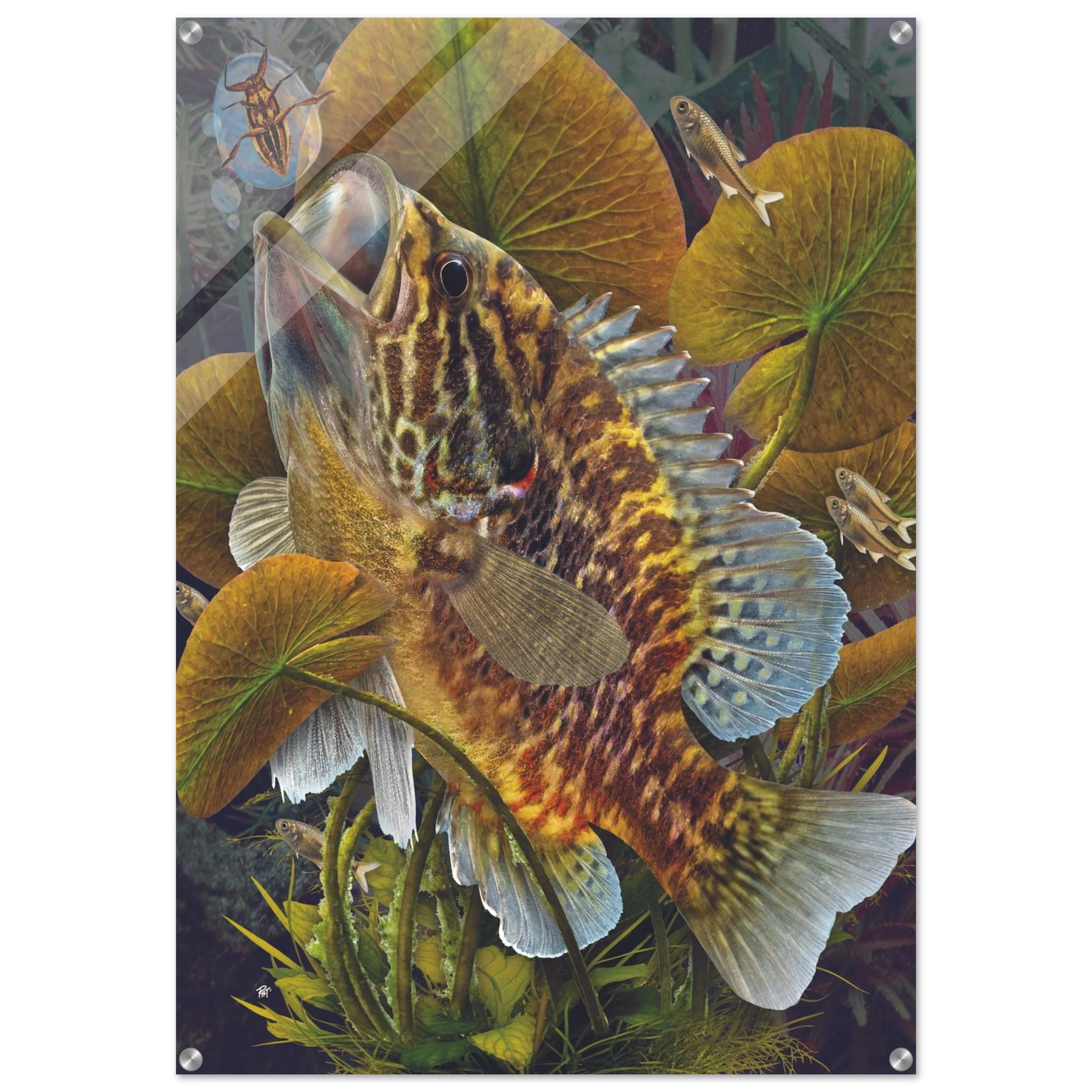 11aa151f-ab2e-4b8d-8fc5-2eb1f241c308