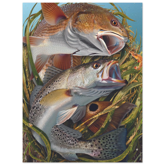 13b187d1-a3f6-417c-8188-94157c7be002