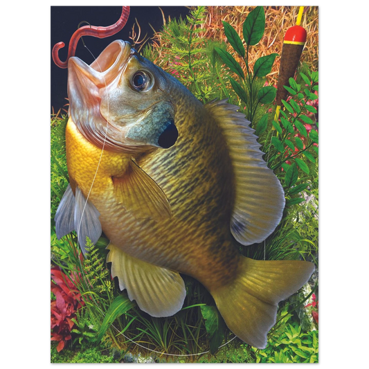 1ec64155-23b3-4692-953e-fc7f574568b5