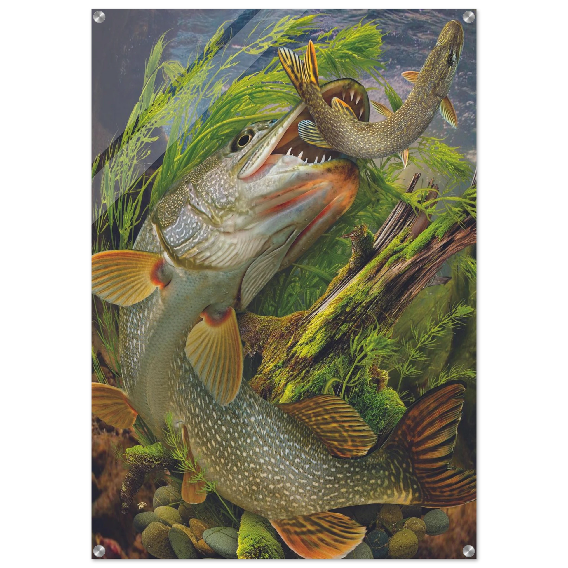 2283bb5e-7097-4c06-b429-bbff7899f964