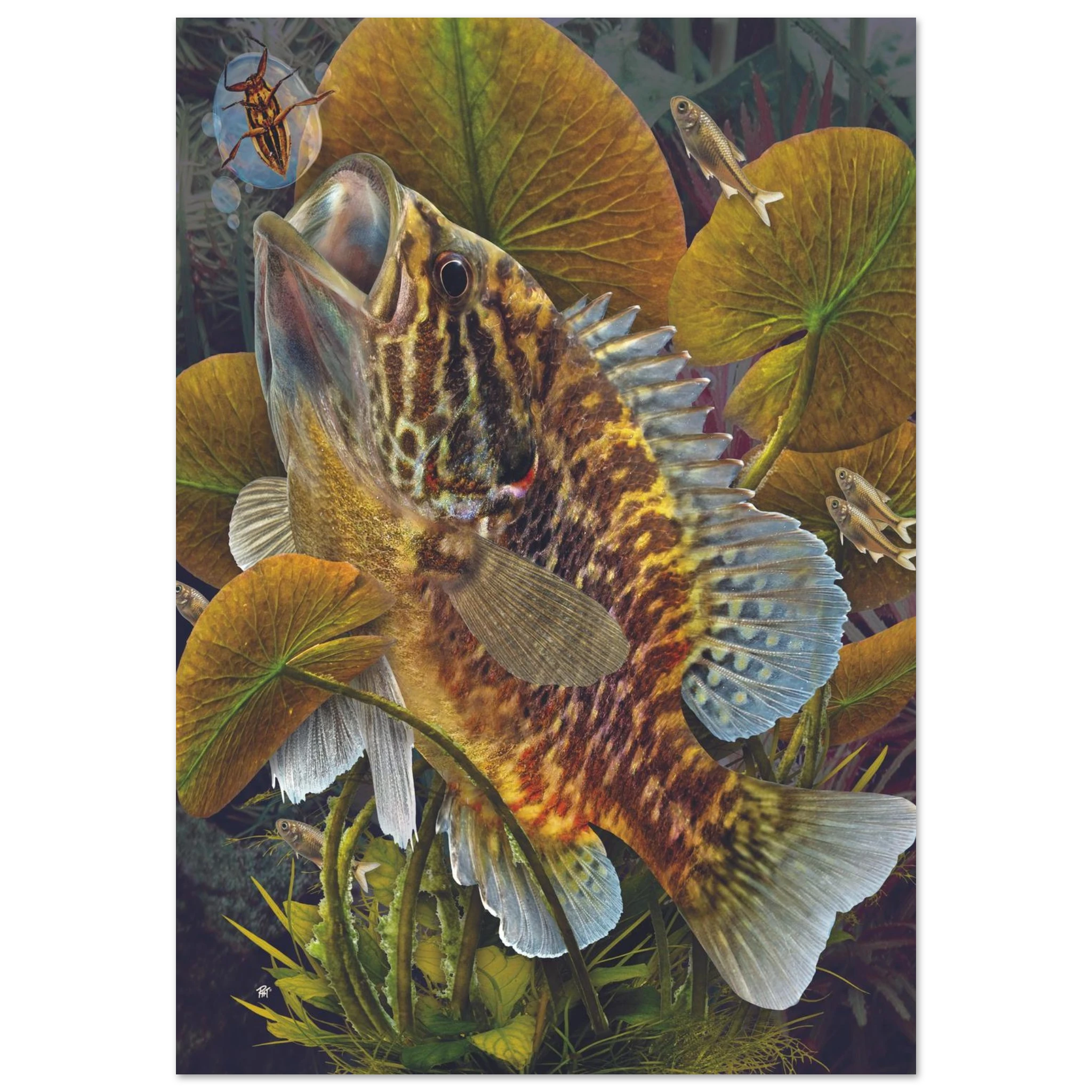 248485a2-9cf8-4984-9ab0-1df6fa60ce80