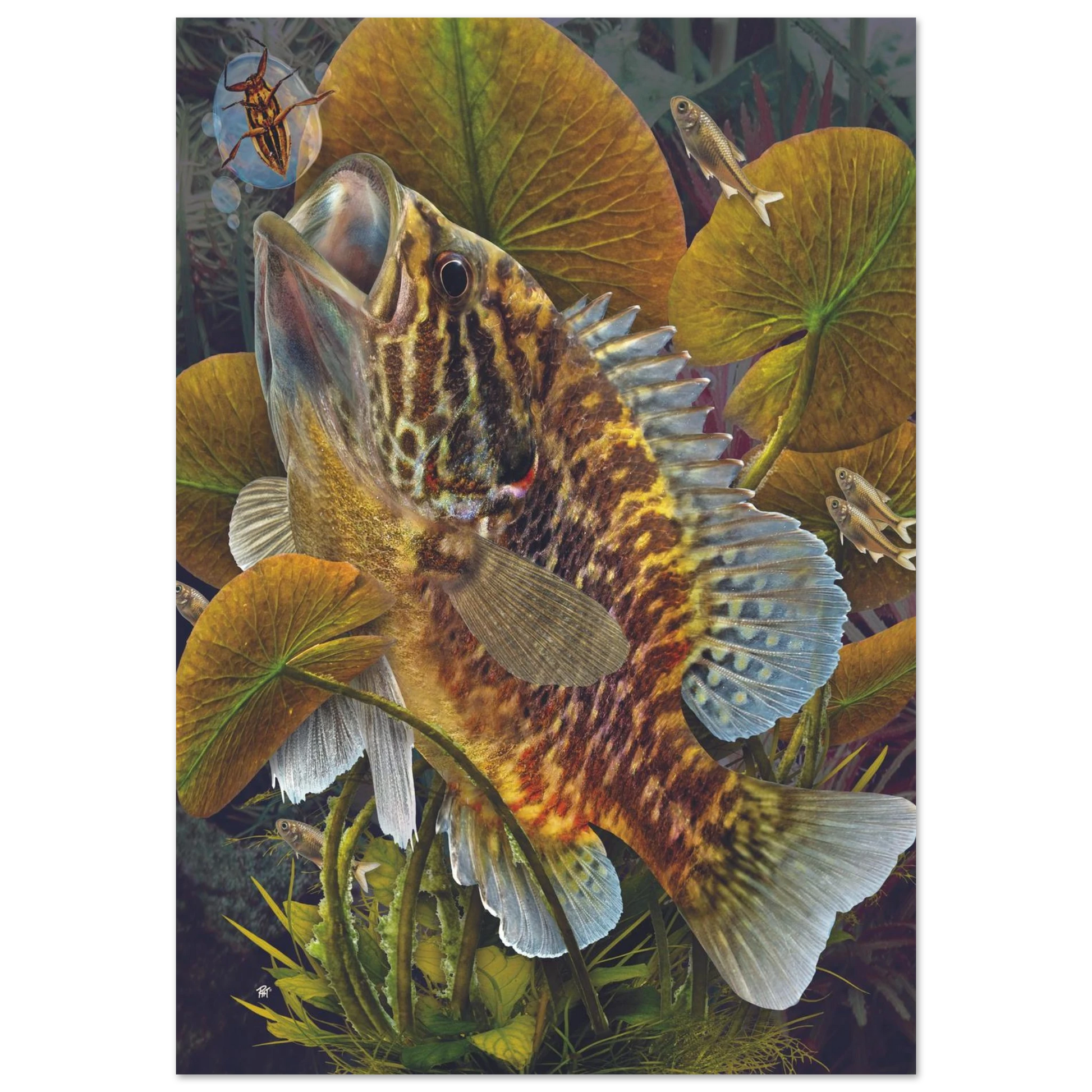 248485a2-9cf8-4984-9ab0-1df6fa60ce80