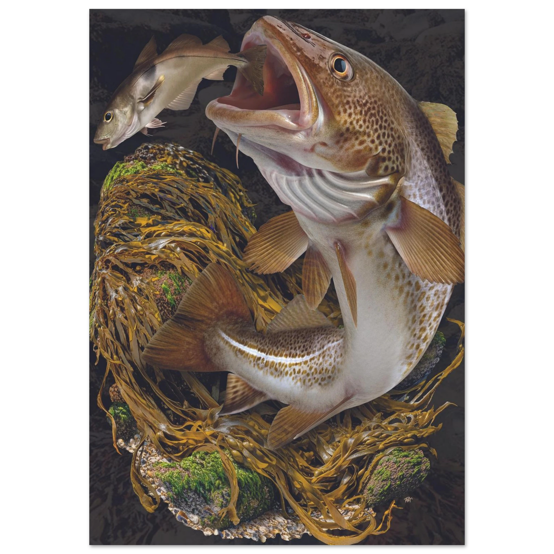 255af31f-a12b-4974-9d3b-18d047611ce1