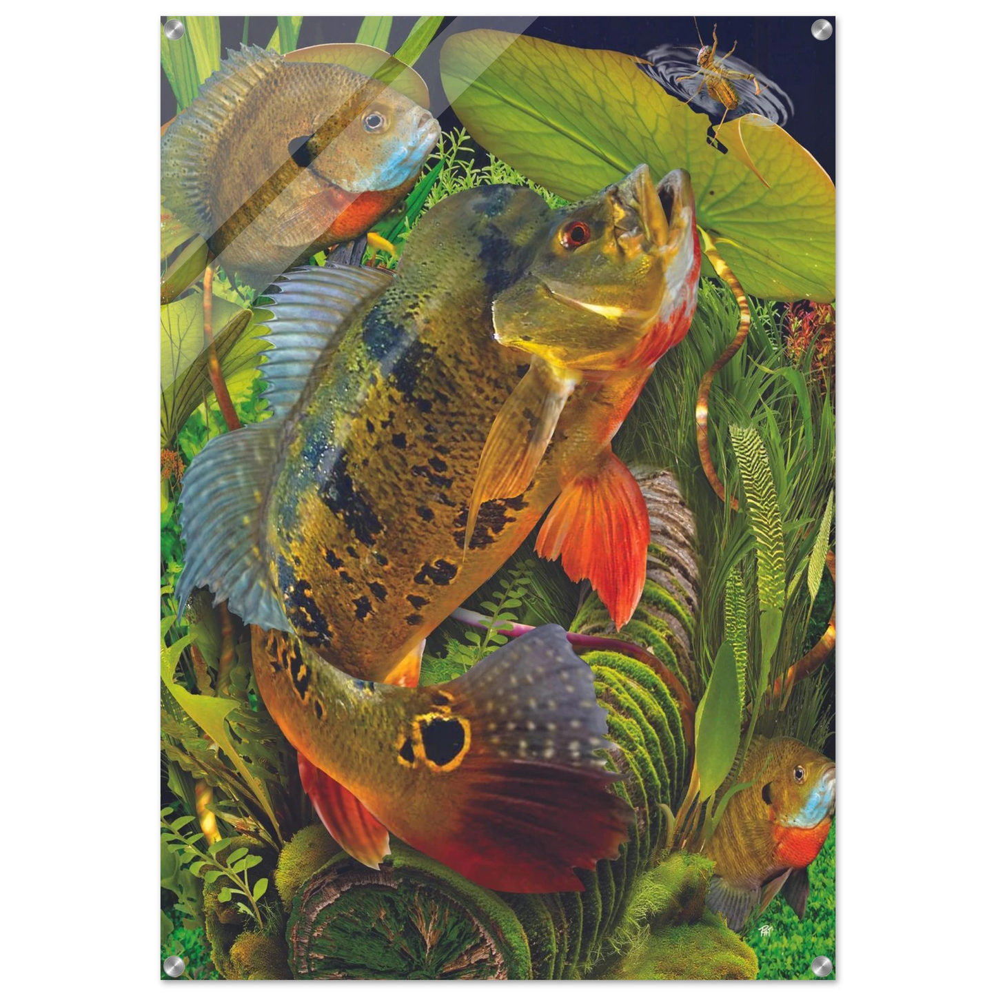 2a9f6e7f-90e2-4d7e-ba5f-b4438bc3dbda