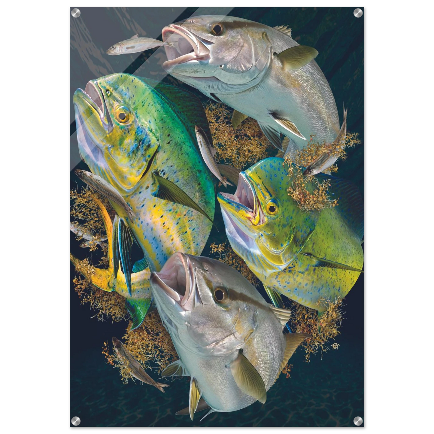 2f22d84b-50dc-4ece-9165-76d09ad6bc5c