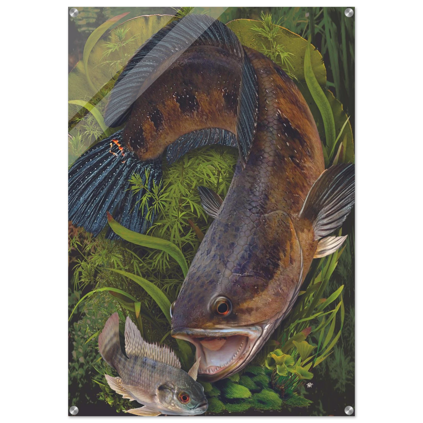 38892f30-6d72-420d-91ad-af8055b8d33e