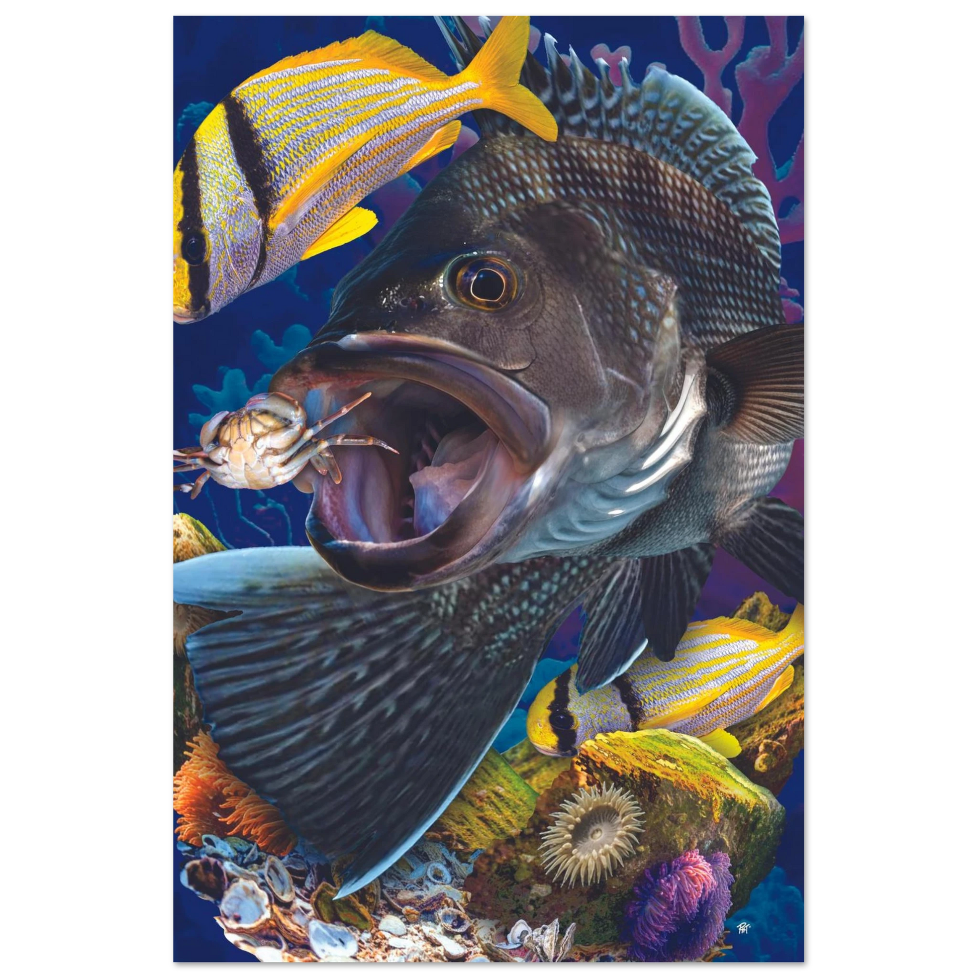 3b15470e-c46b-4dd9-953c-2f492dad36e4