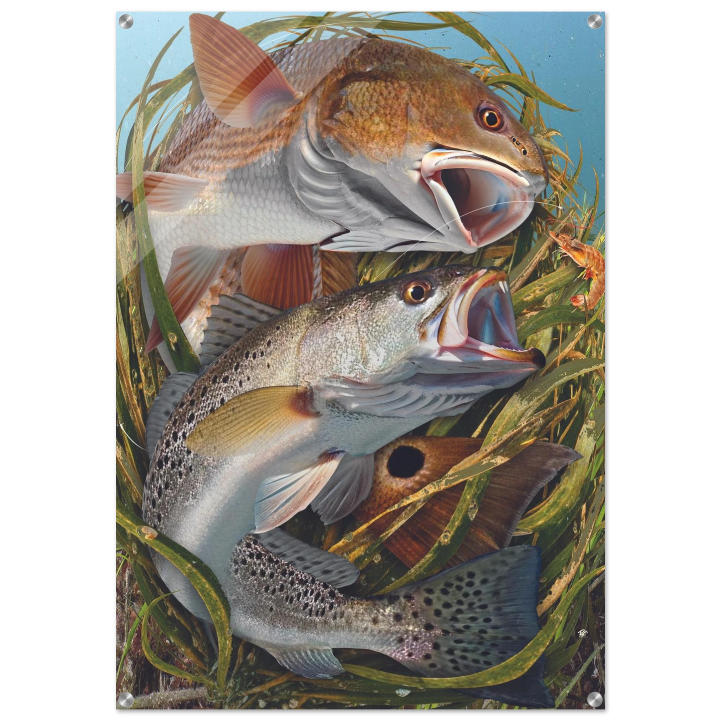 41df2ef8-691c-4bd1-9d33-5c5e16f0036a