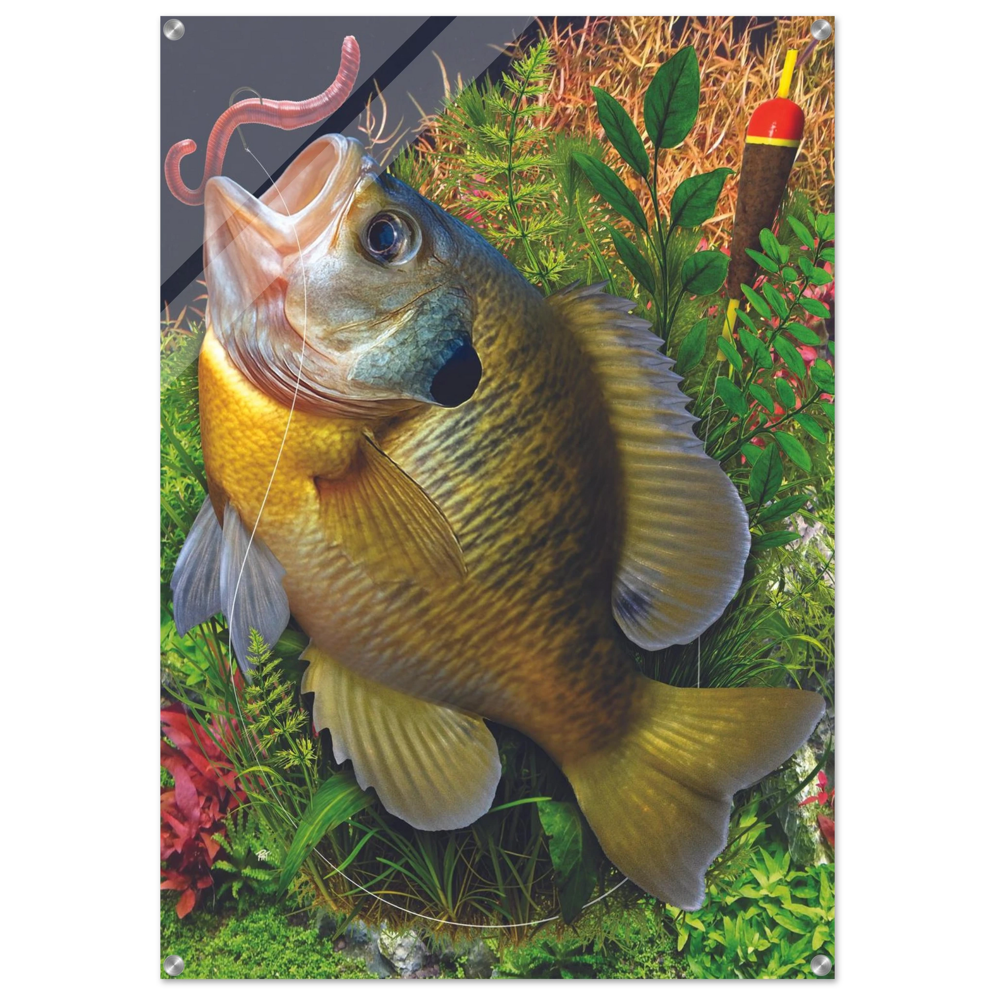 429a4ebb-9d16-41a0-bc58-c011b42b7cff