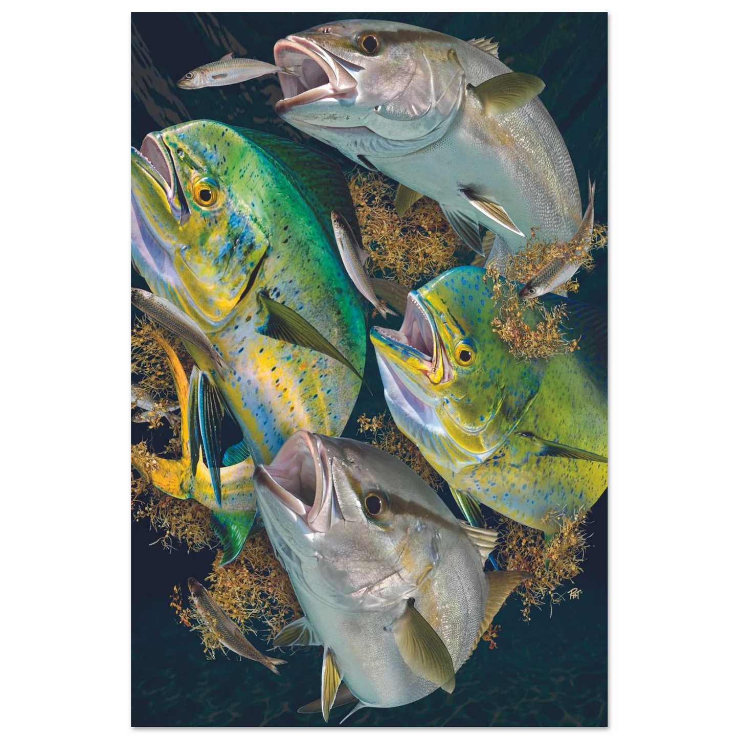 4b54080b-cd37-401a-bfa3-620e1e046dd4