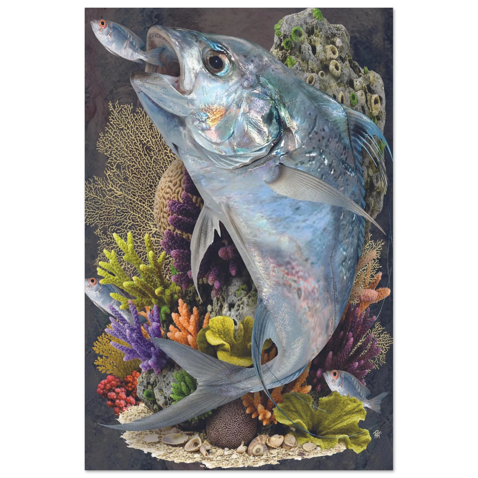 53db065e-4be8-47da-ac17-f511fb48f80f