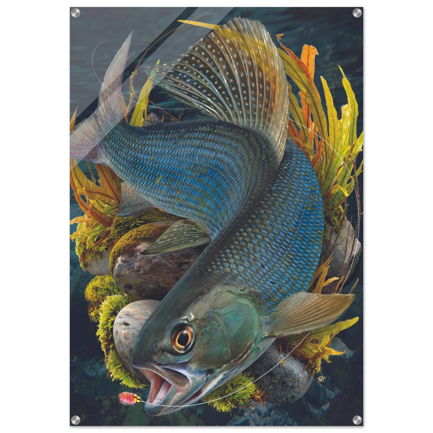 5f70de63-2ba5-4feb-8605-e20439a55046