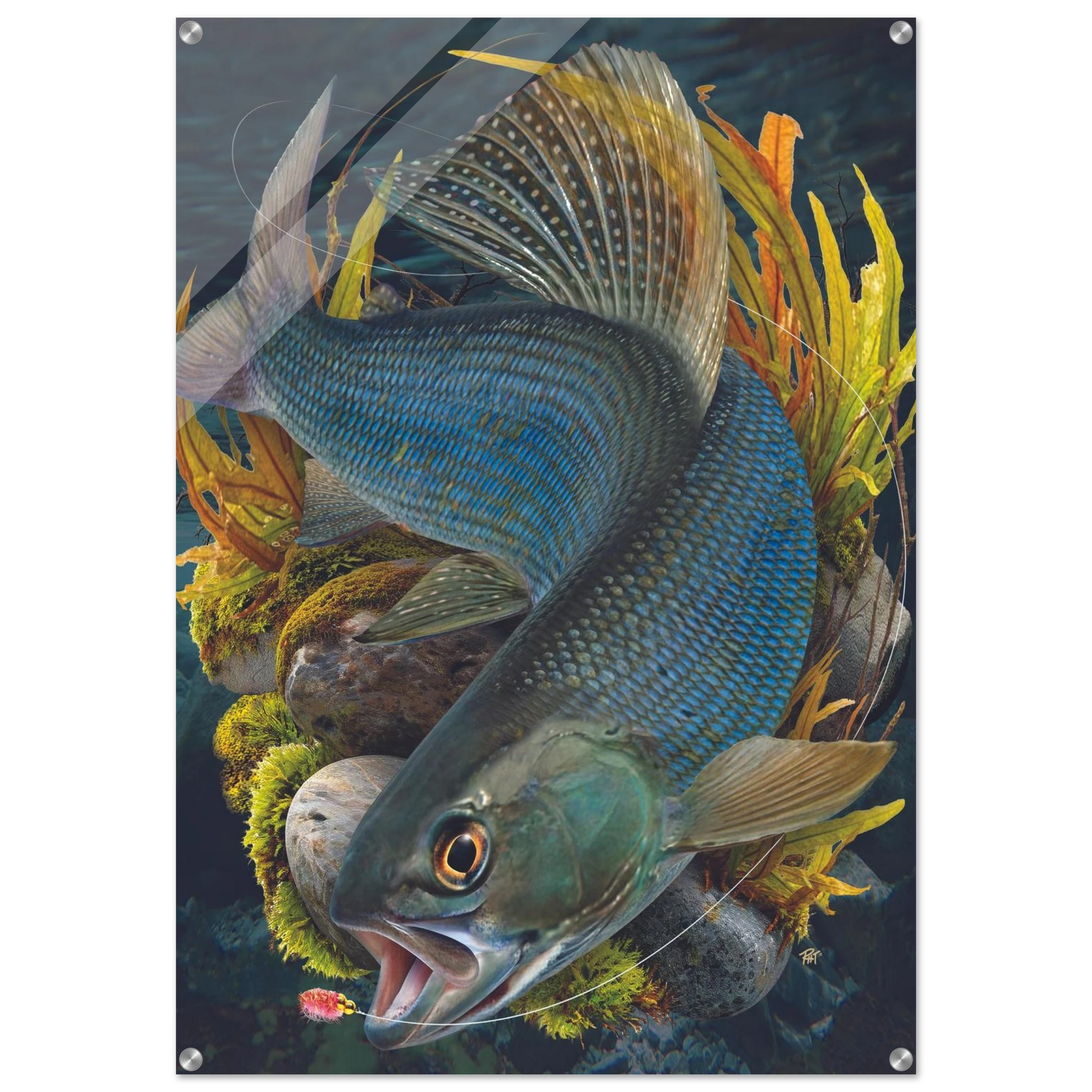 5f70de63-2ba5-4feb-8605-e20439a55046