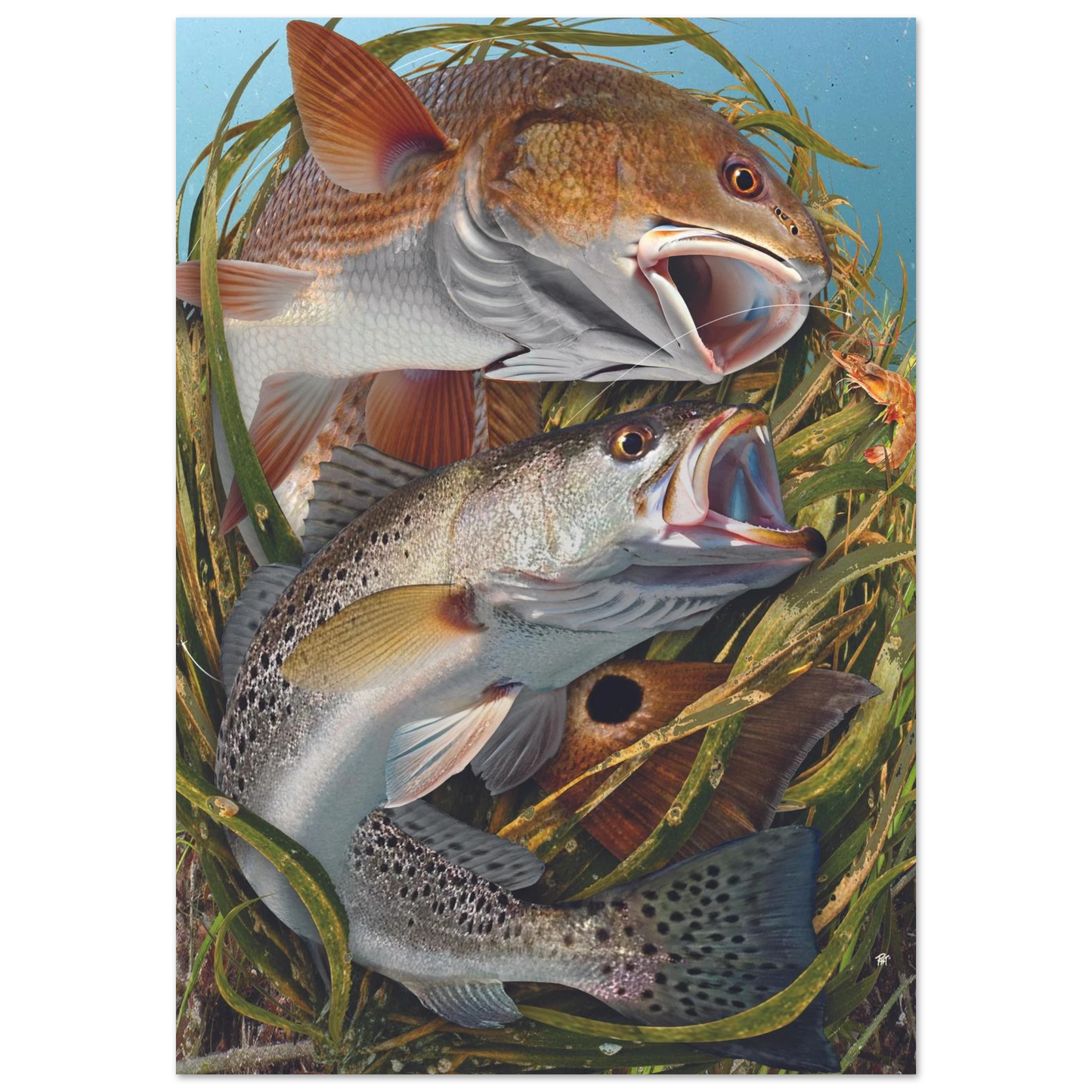 60be4c58-8213-4221-9c38-cd1d2ce36807