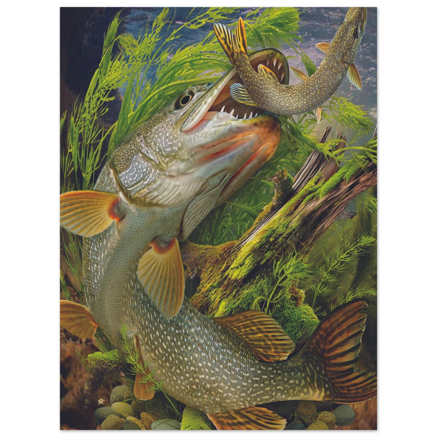 63a91325-3eb2-4a3d-a73b-e2a07aa7b289