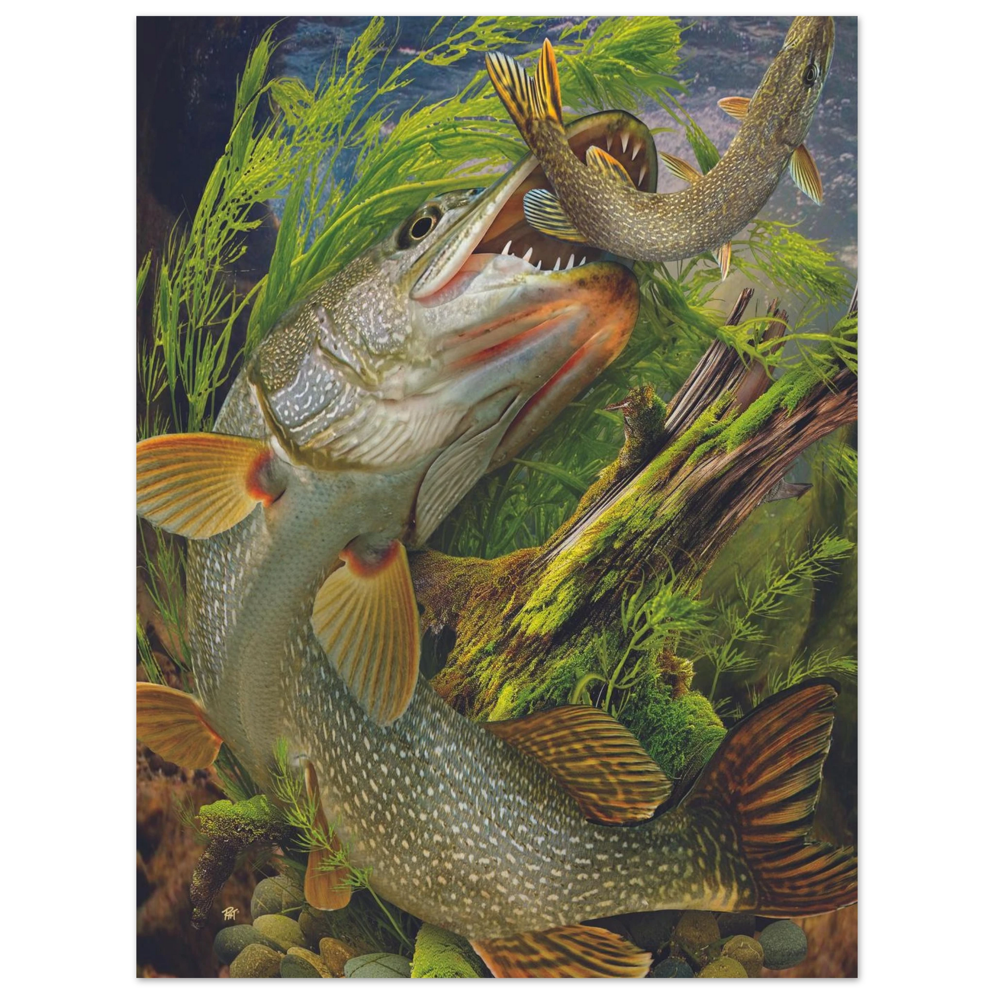 63a91325-3eb2-4a3d-a73b-e2a07aa7b289