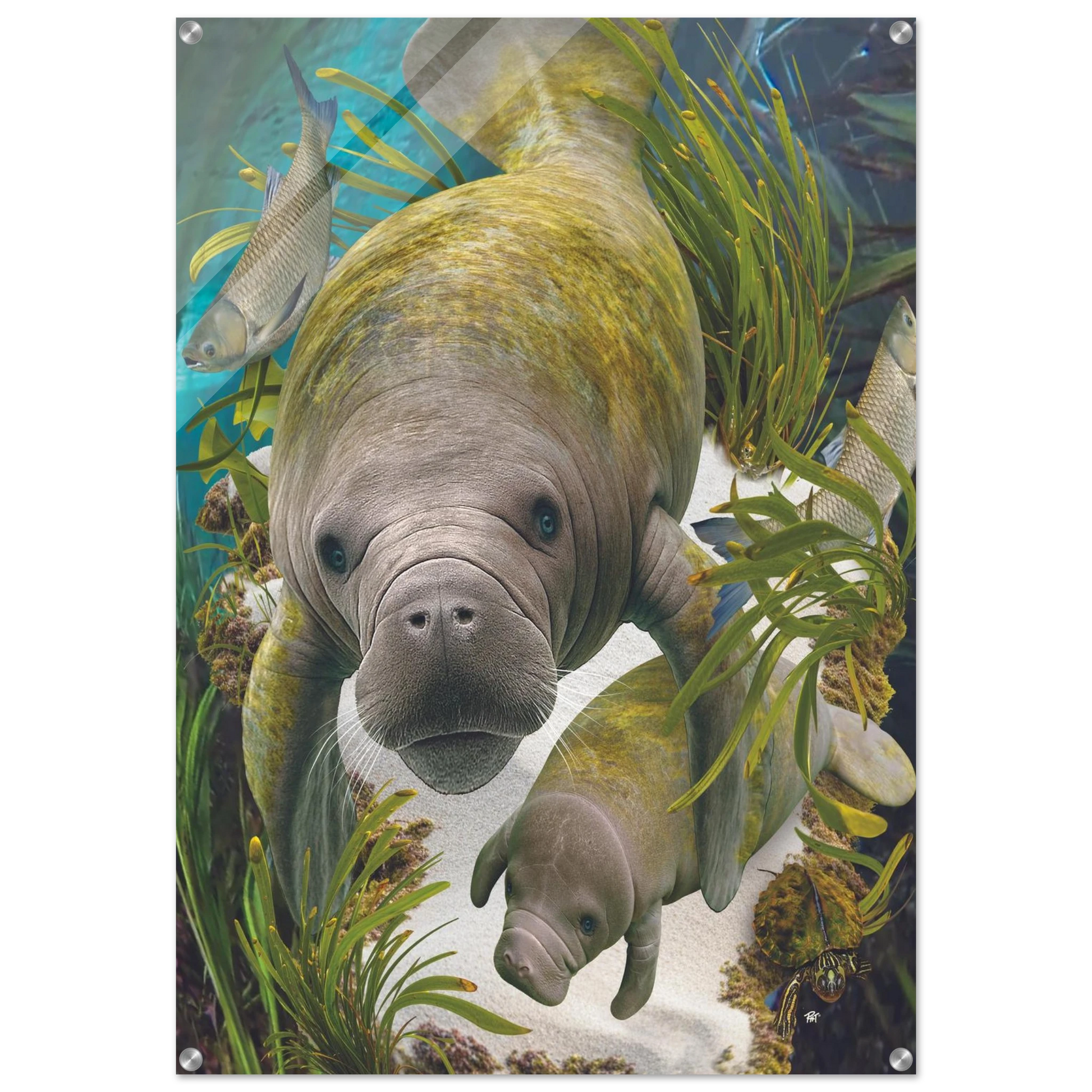 739c08de-ab42-4a61-ba45-6ade9abd10a7