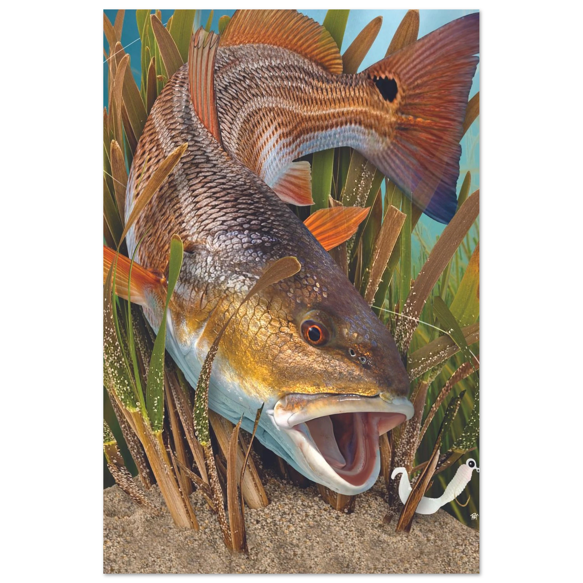 7d62653c-bb57-4b00-8fb7-3be8e022c596