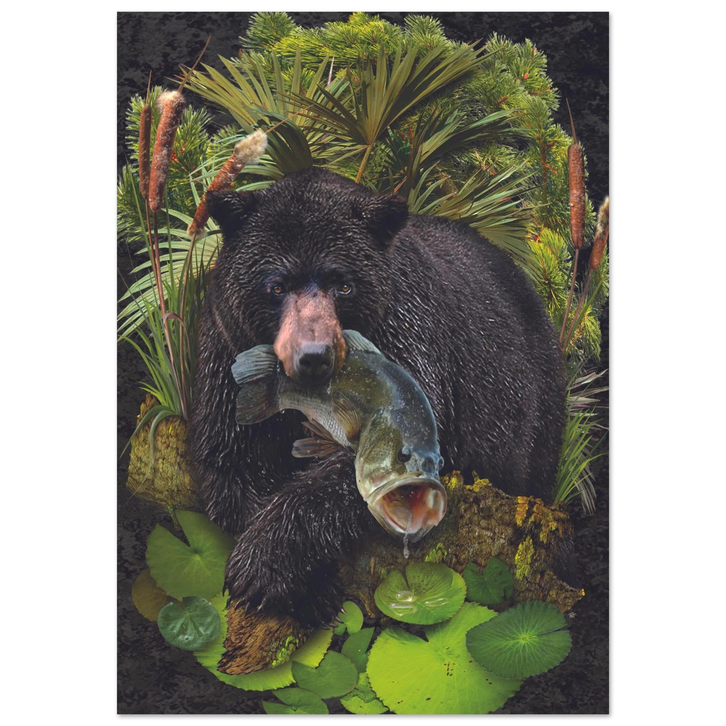 811d50a3-b6cb-4f0b-b6b1-cc54bfd02677