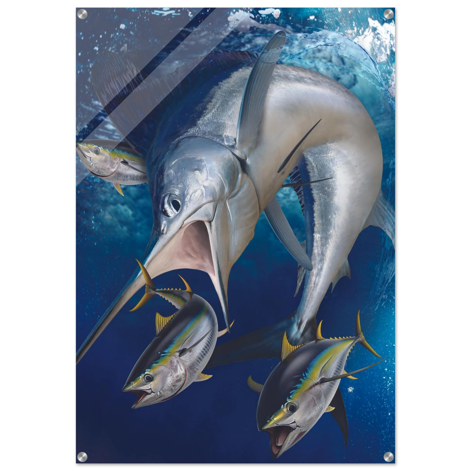 8ad837da-d2a5-49ed-94c3-5dade0d4d5e2