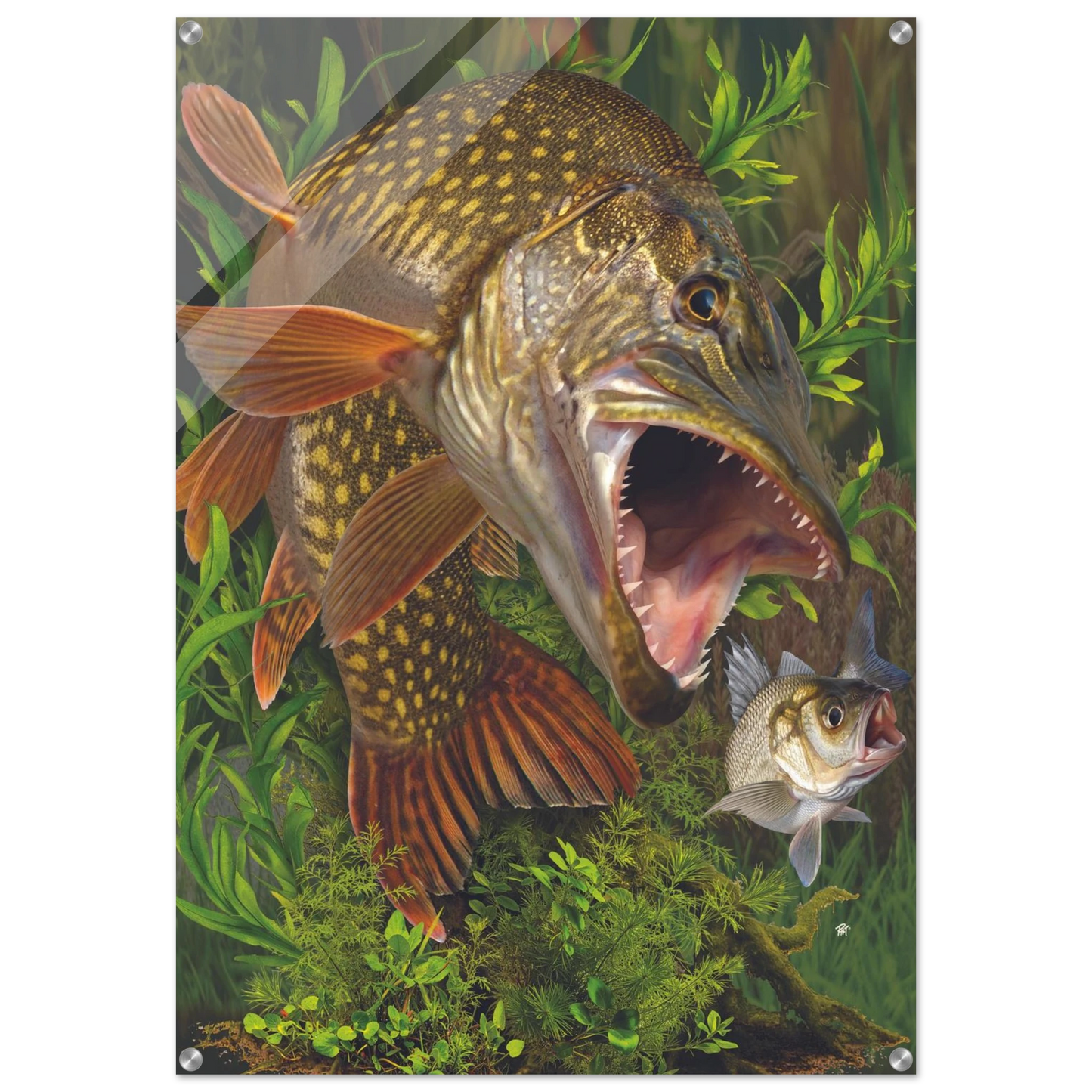 8b2c3e74-9481-4622-8132-05eb845c40f7