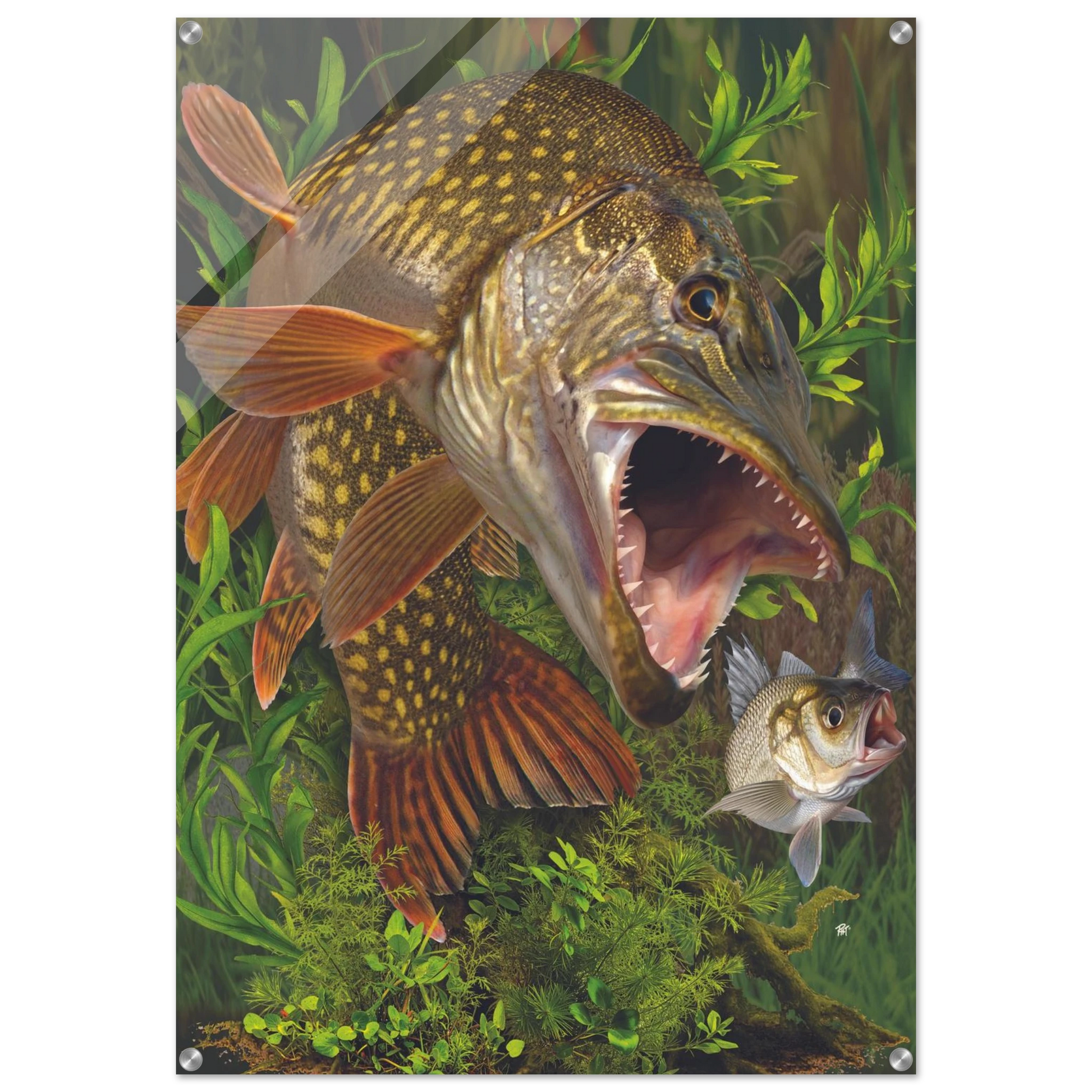 8b2c3e74-9481-4622-8132-05eb845c40f7