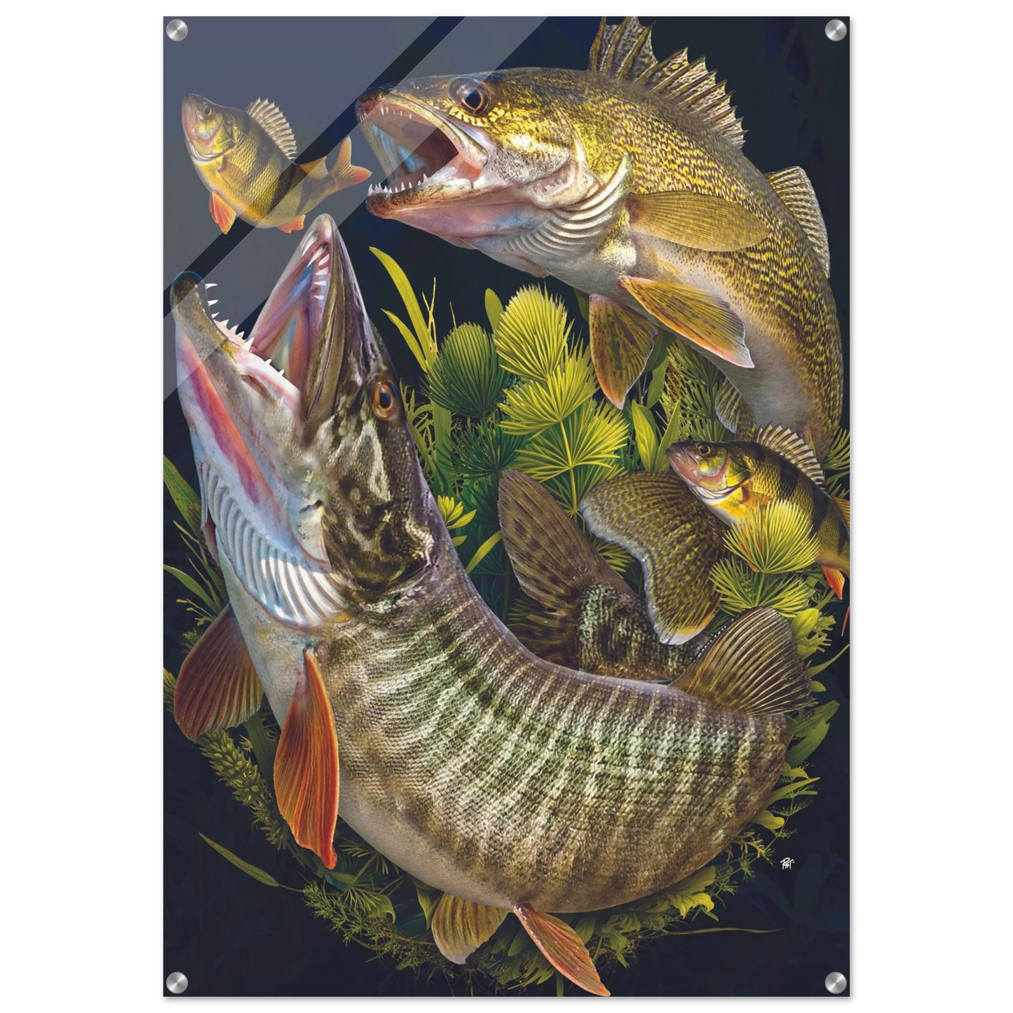 8ff65c6d-0f32-4a20-8e01-4302fb69f158