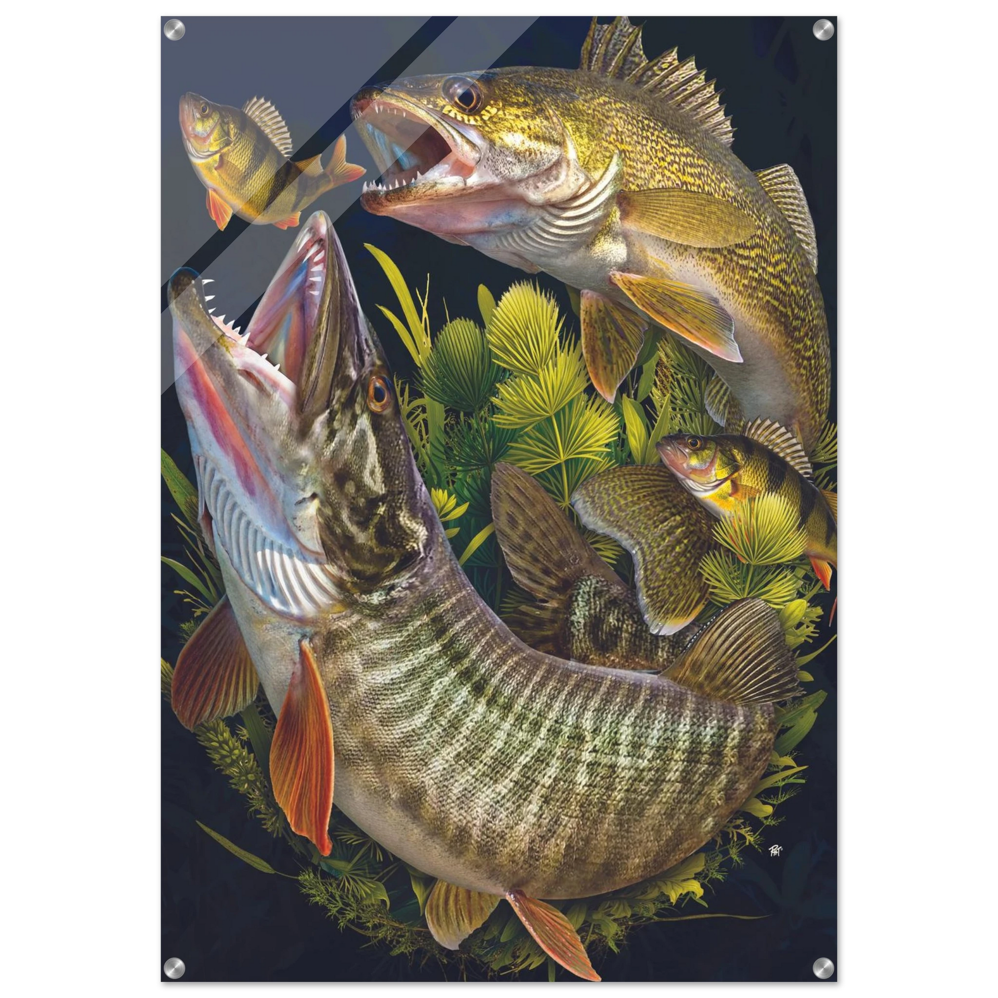 8ff65c6d-0f32-4a20-8e01-4302fb69f158