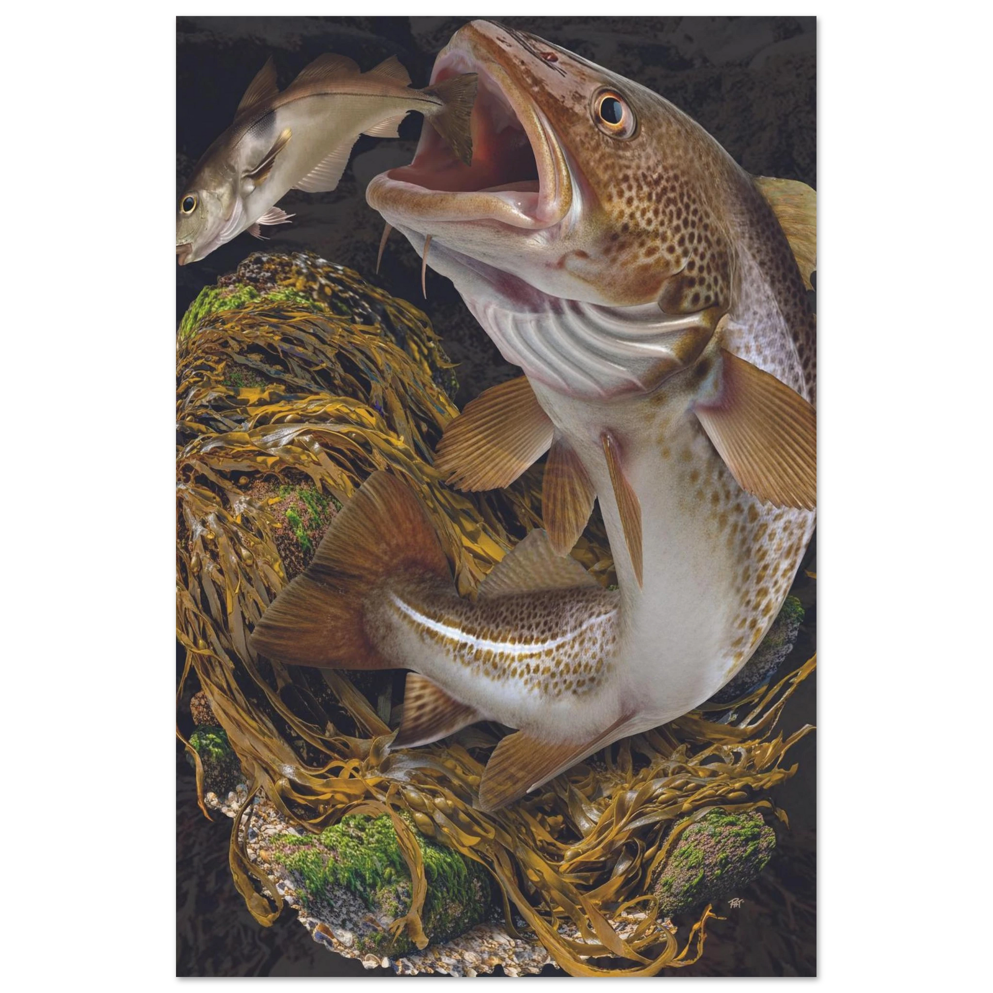 92635d5b-7454-4ea5-b146-77cdb83bbacd