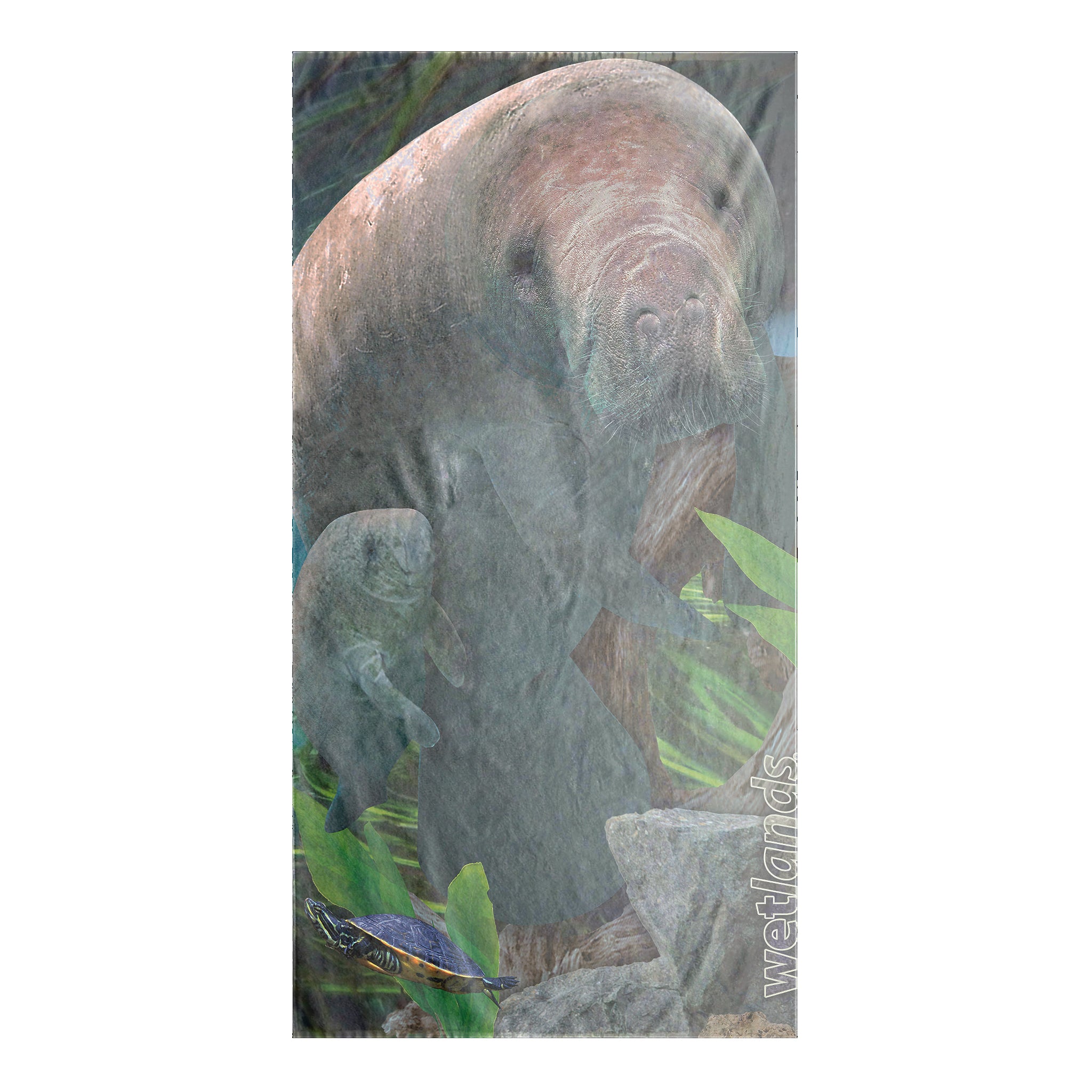 Manatee Spring - Beach Towel-35x60