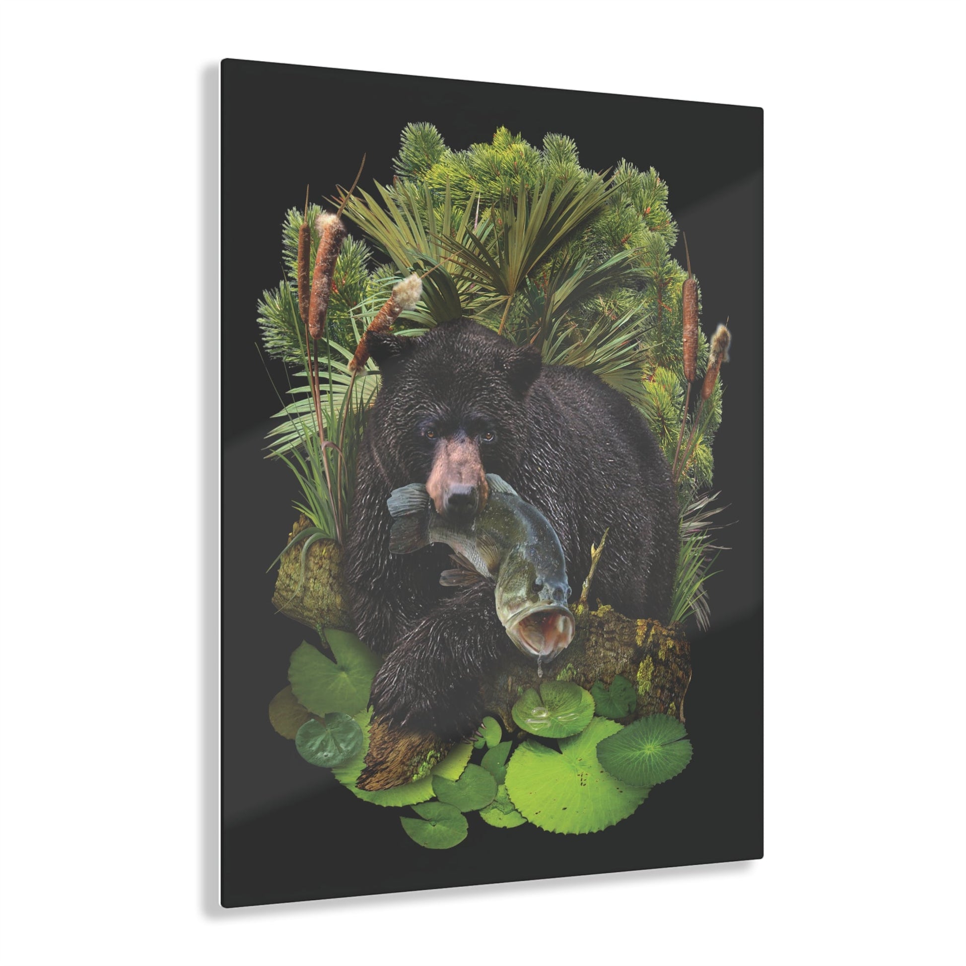 Black Bear Acrylic Print Wetlands Performance Apparel