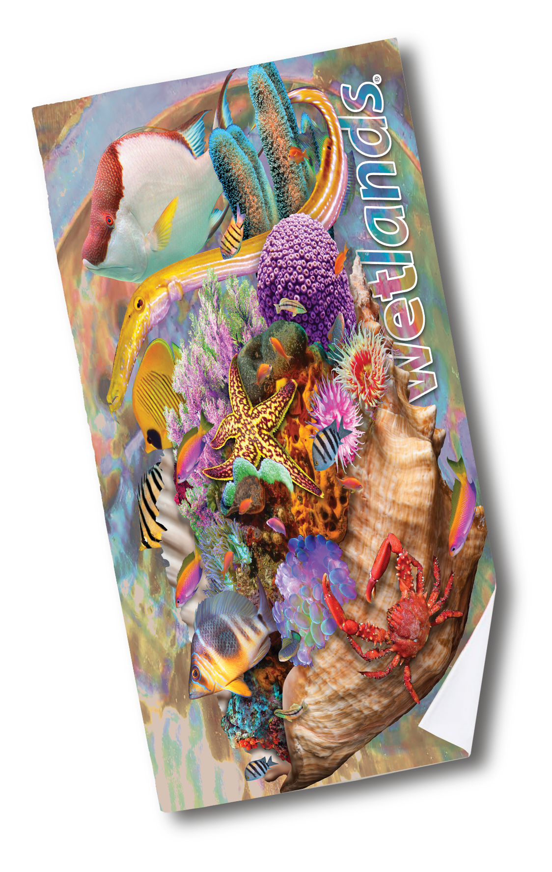 Key West Reef - Quick-Drying Beach Towel Made from Ultra Soft Low Spin Polyester (35