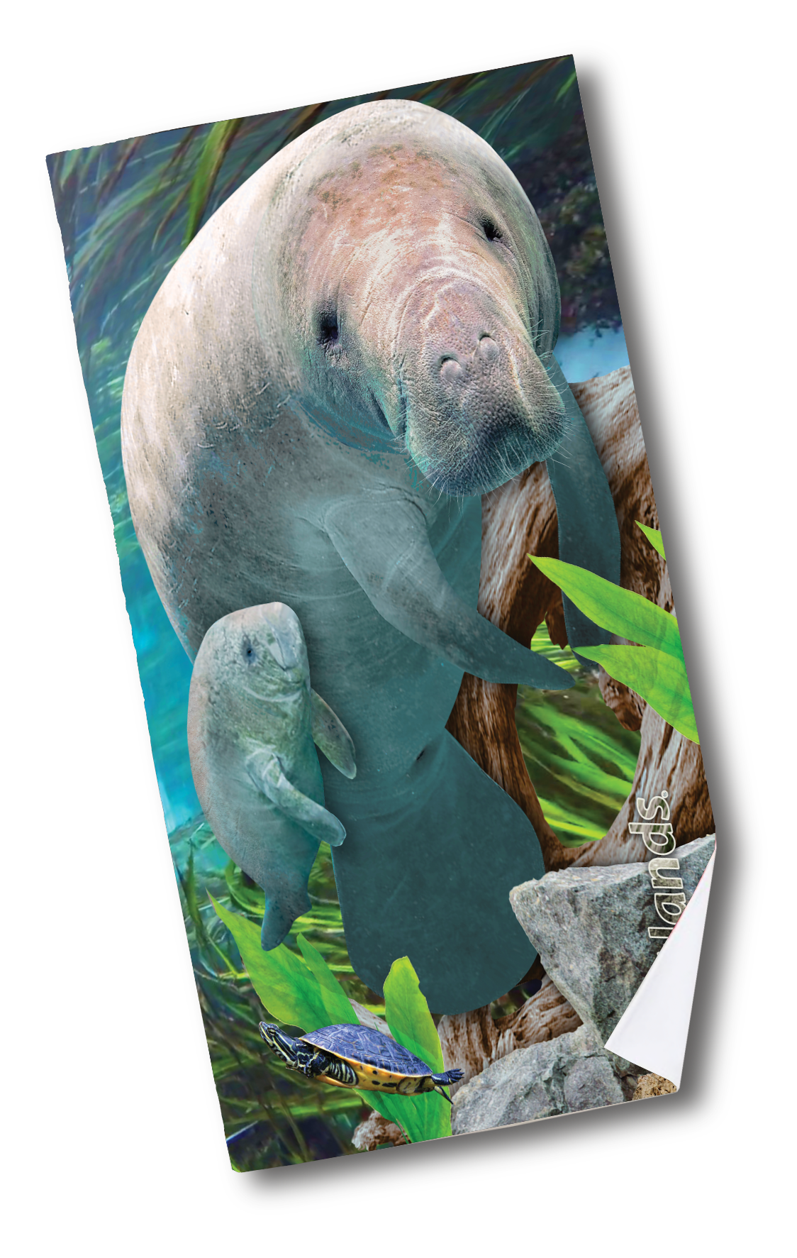 Manatee Spring - Beach Towel-35x60