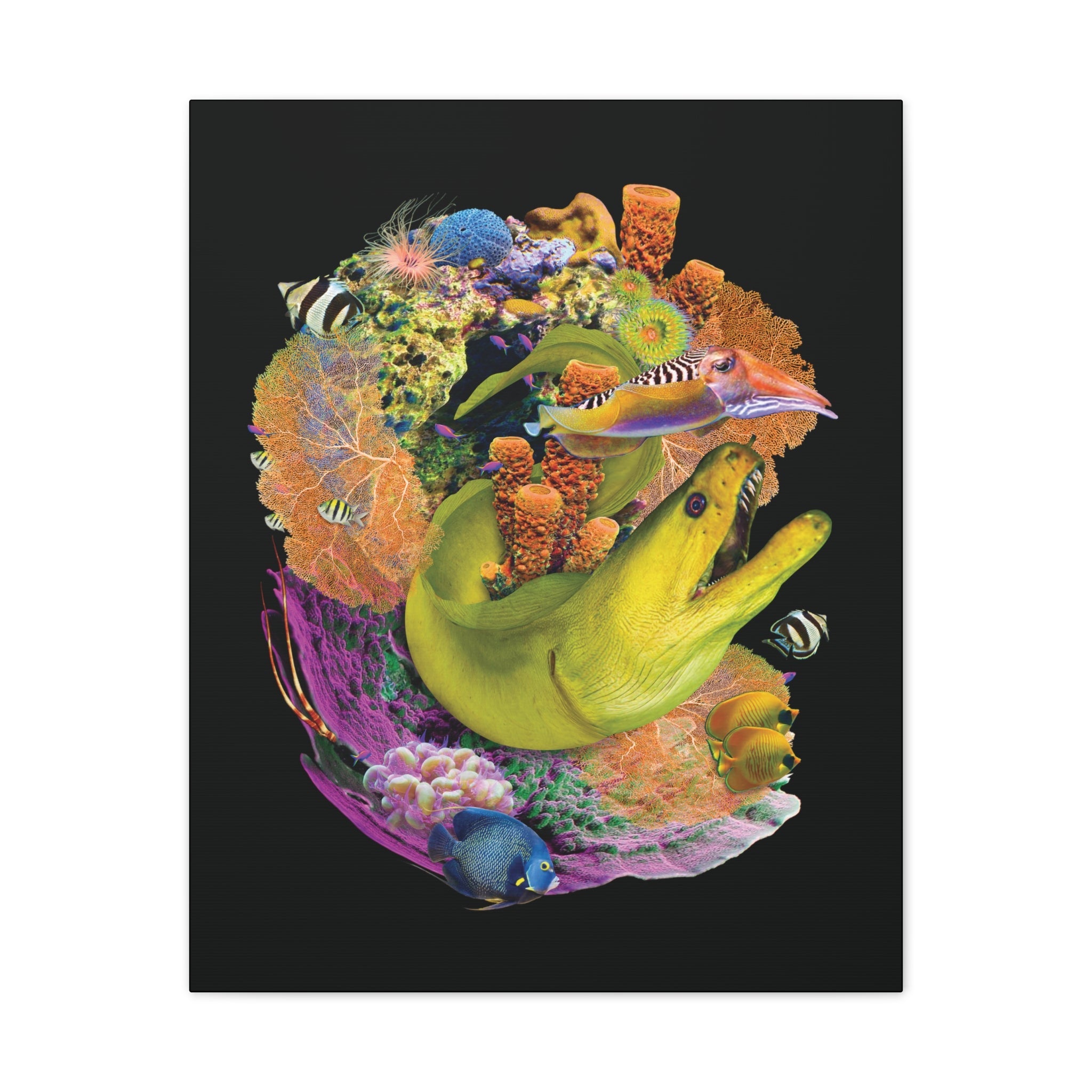 Moray Eel Canvas Wetlands Performance Apparel