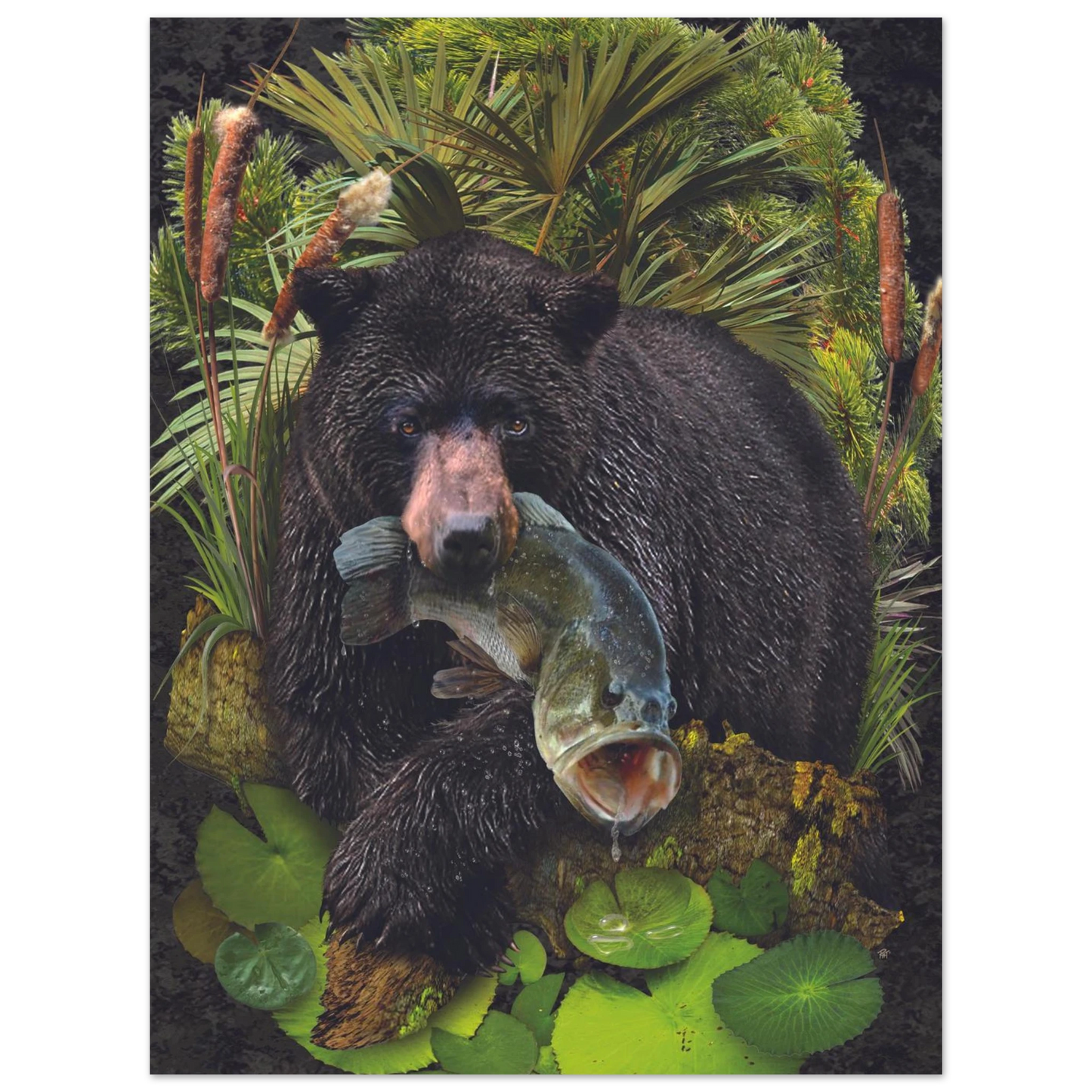 b15cd2f7-54a4-40b6-8355-41382058800e