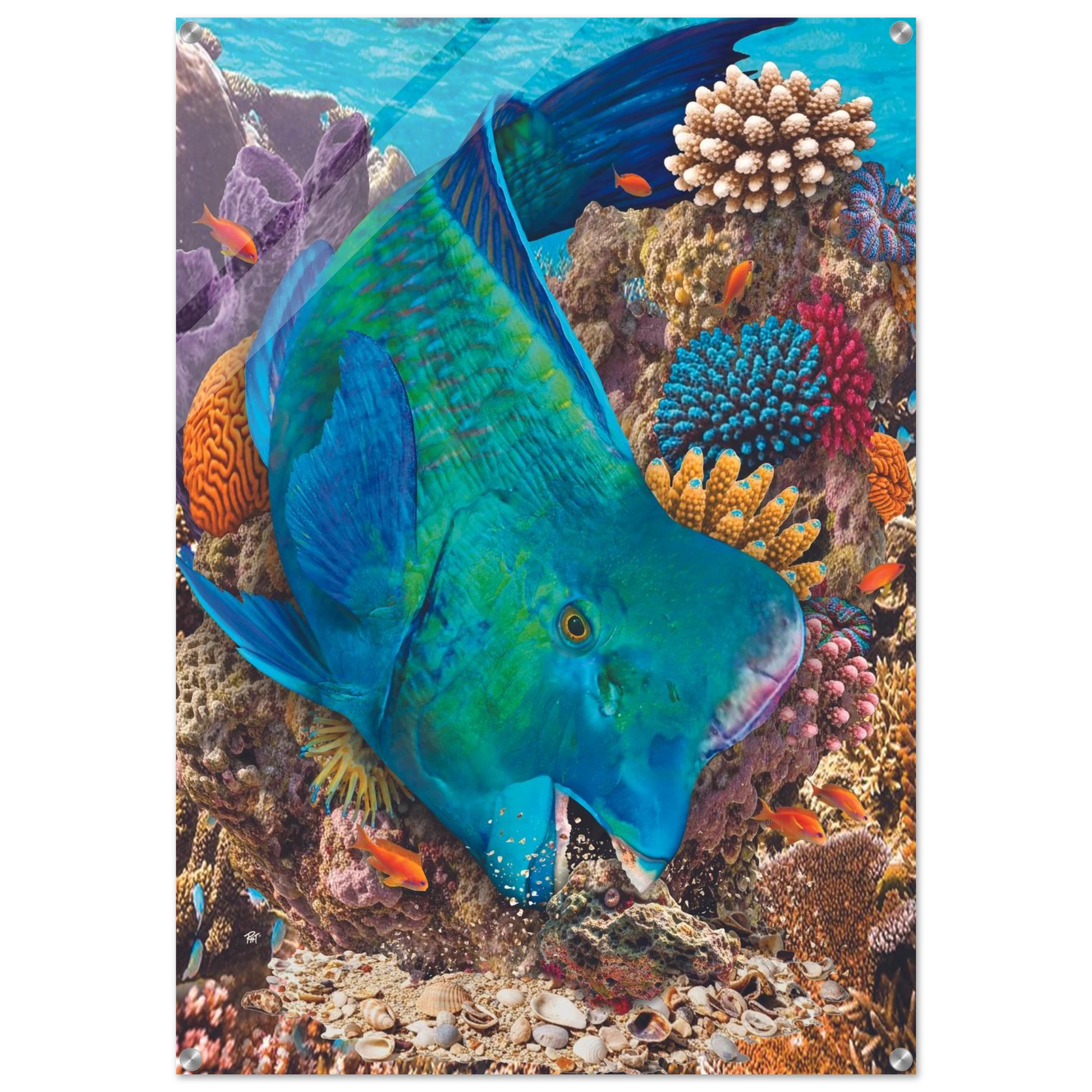 b1da01dc-22c4-4b7e-bd07-5cfba0607b64