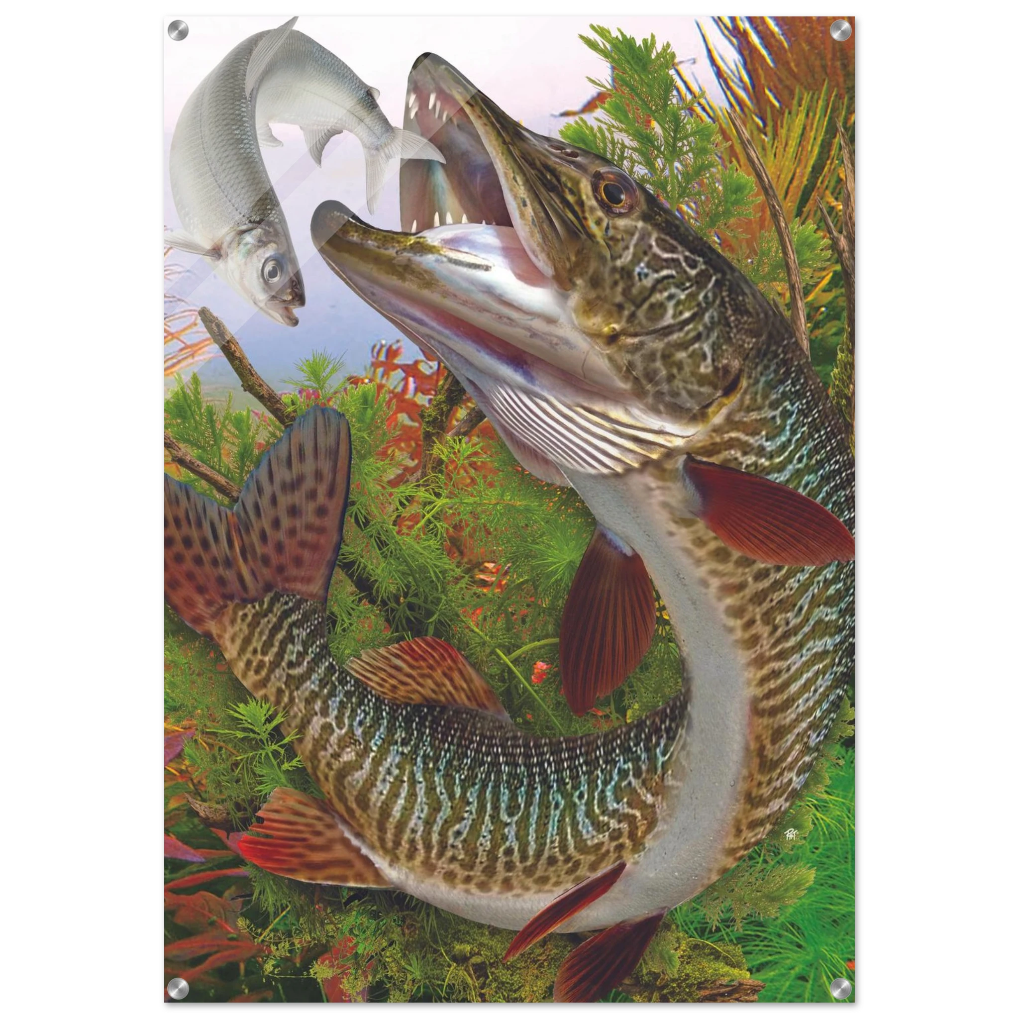 b2a851cf-2bfd-4833-815a-76ec48314c7d