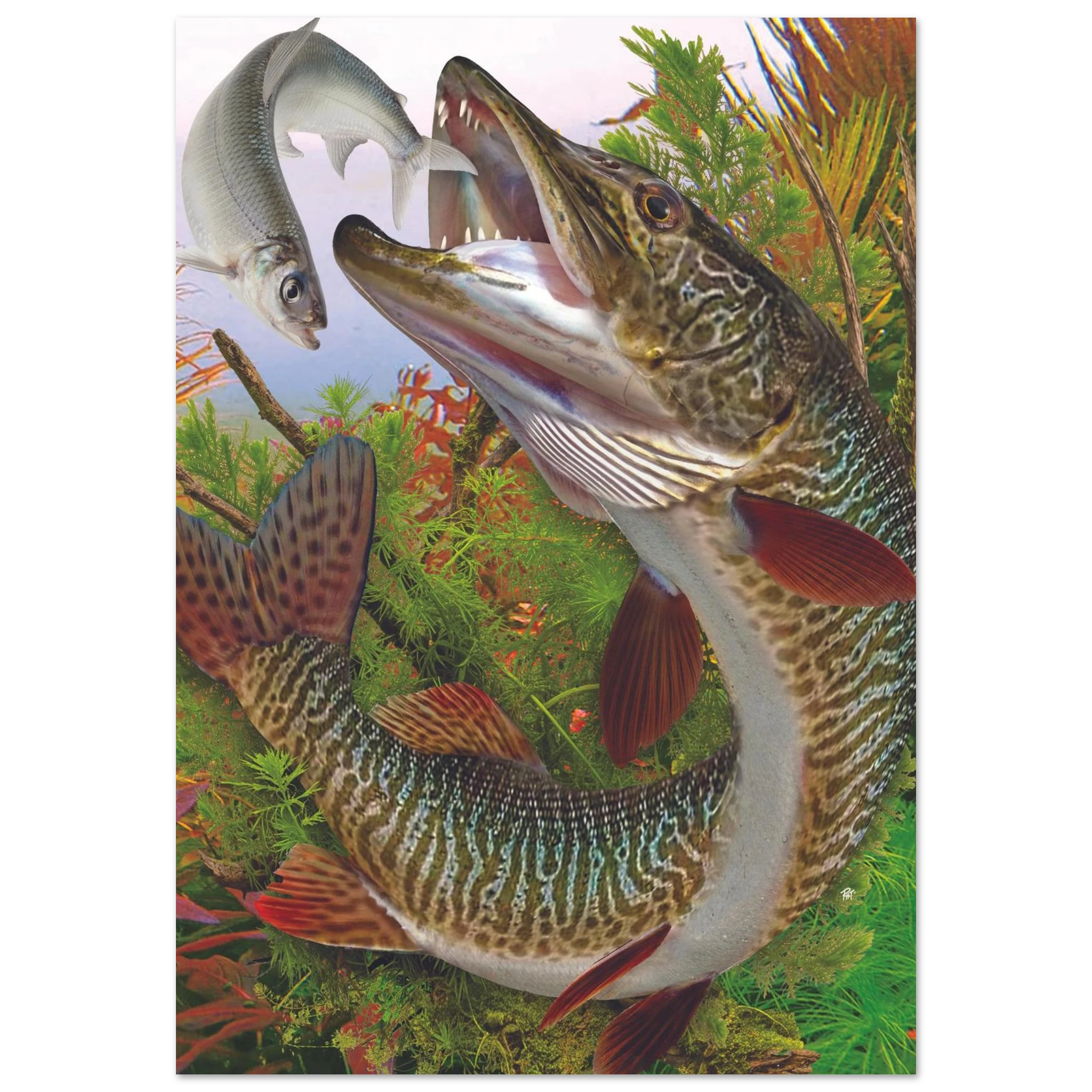 b52168d4-3998-4e3d-abbd-28d042055632