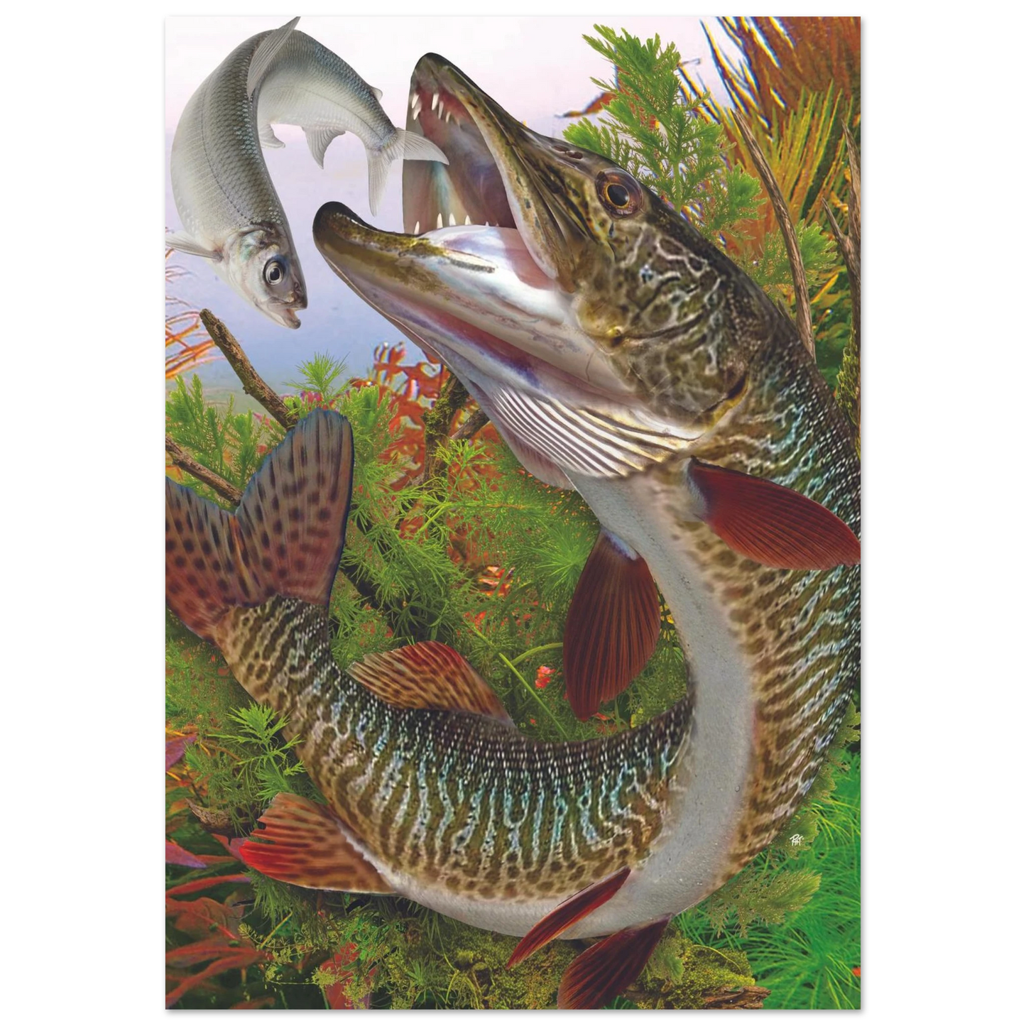 b52168d4-3998-4e3d-abbd-28d042055632