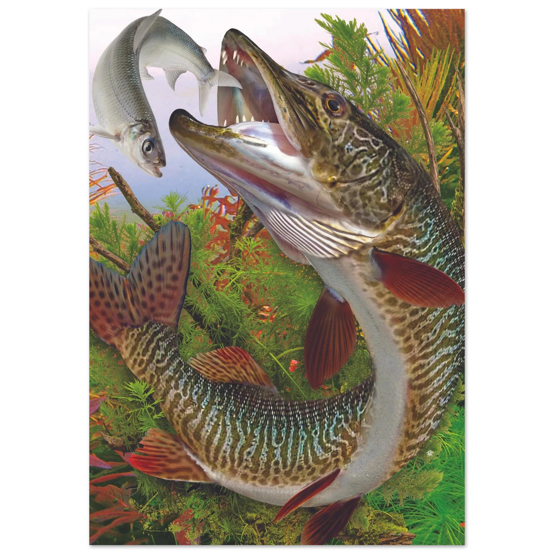 b52168d4-3998-4e3d-abbd-28d042055632