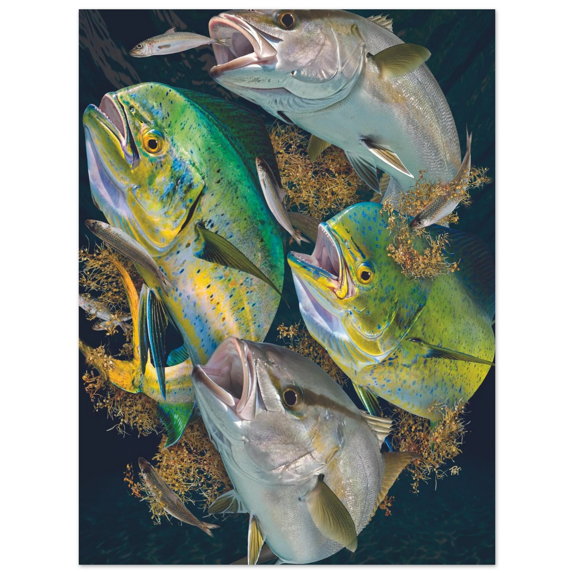 b6155d86-e402-430f-ae9f-67a7b5e75b0e