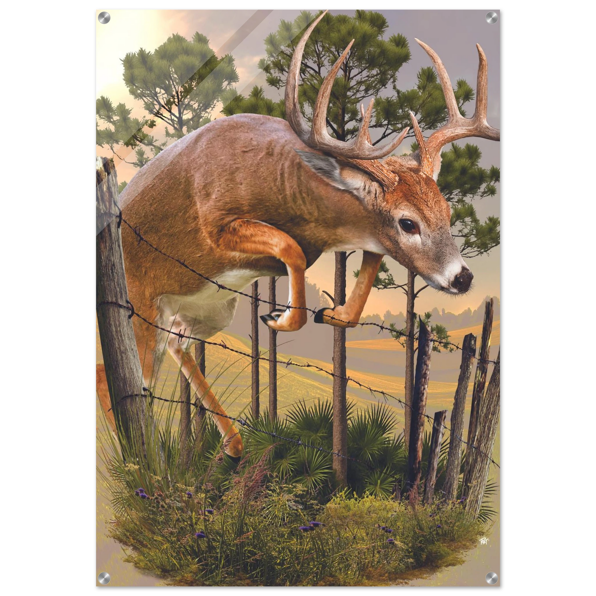 b748062f-9f6e-40b9-ac04-407071b5c223