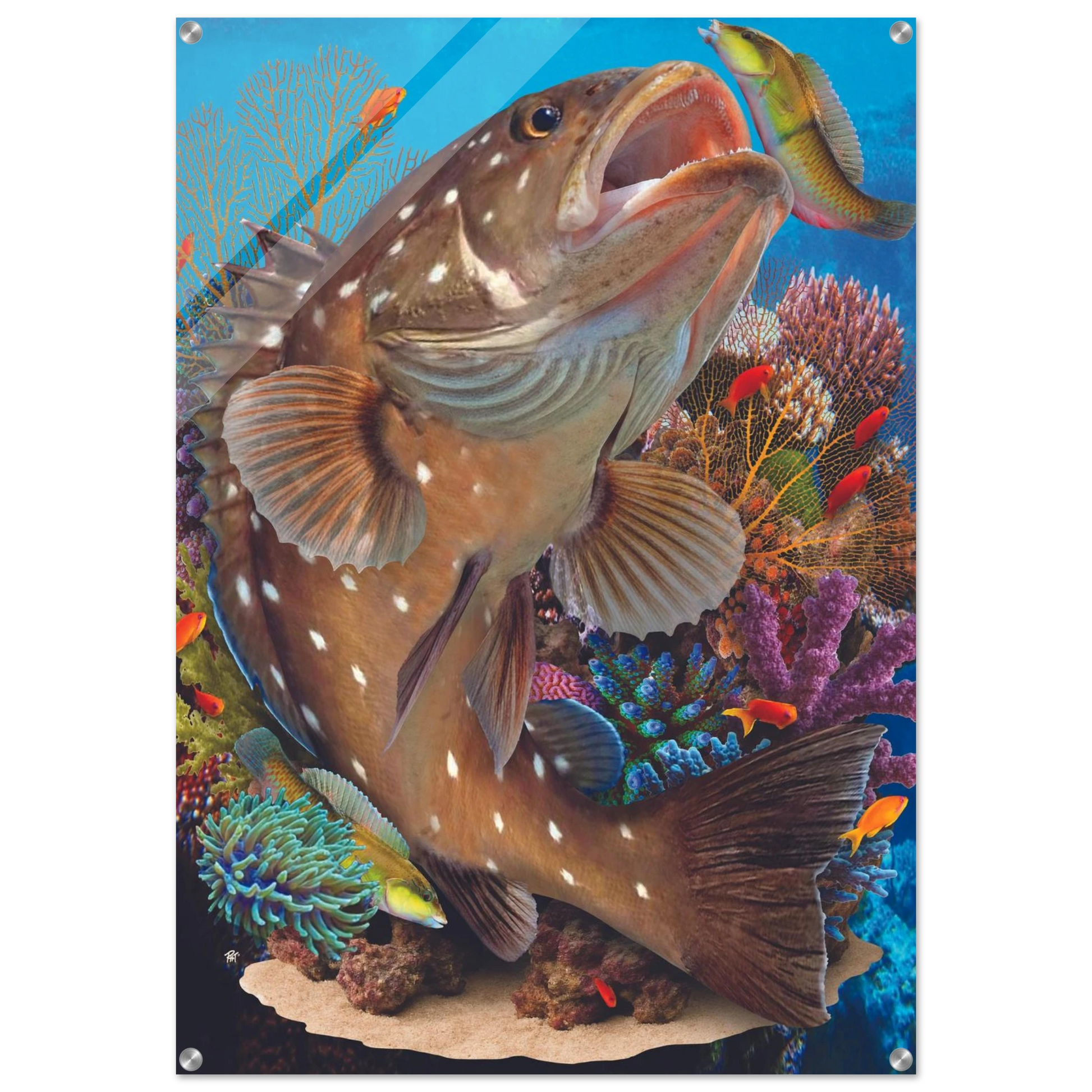 bbd015b5-a12e-4474-b6d9-6ecafab5b663