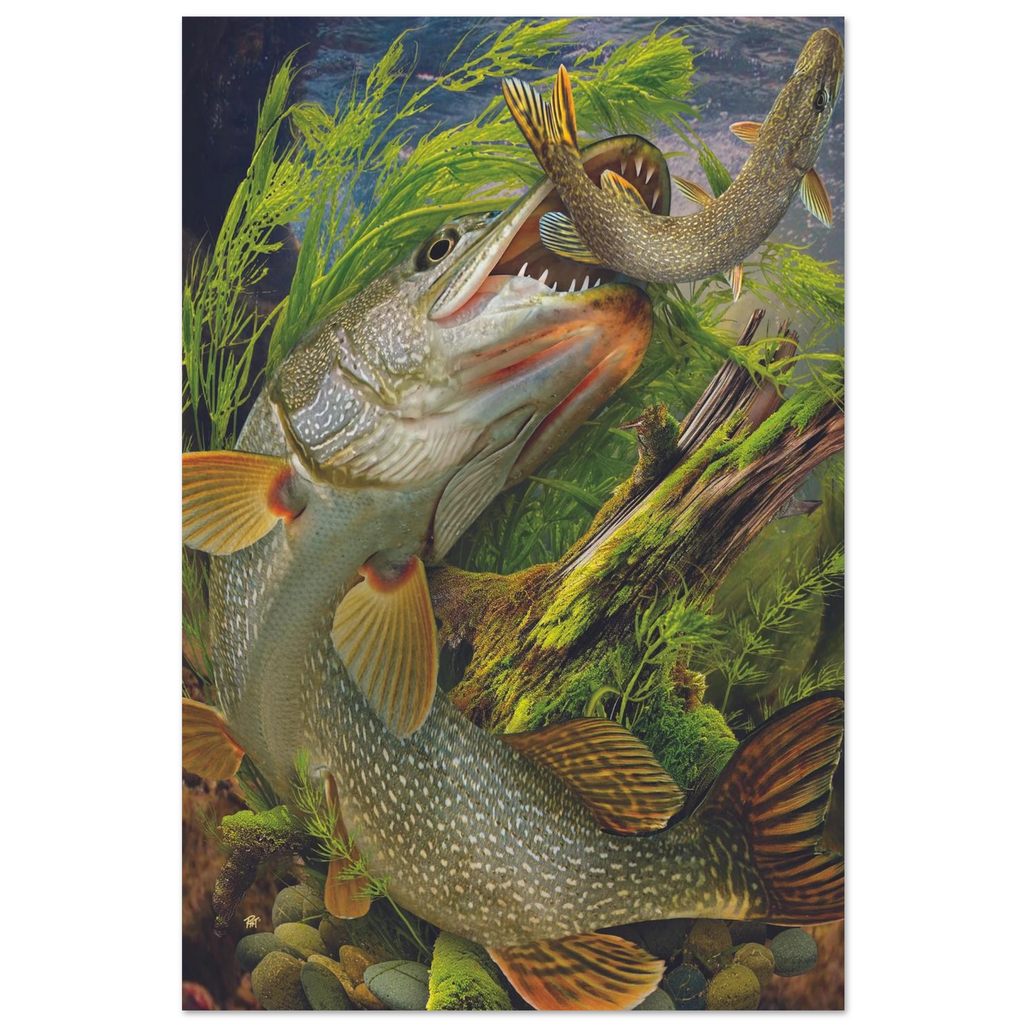 bf3b65d2-0cdf-41ee-9a68-9157593bb392